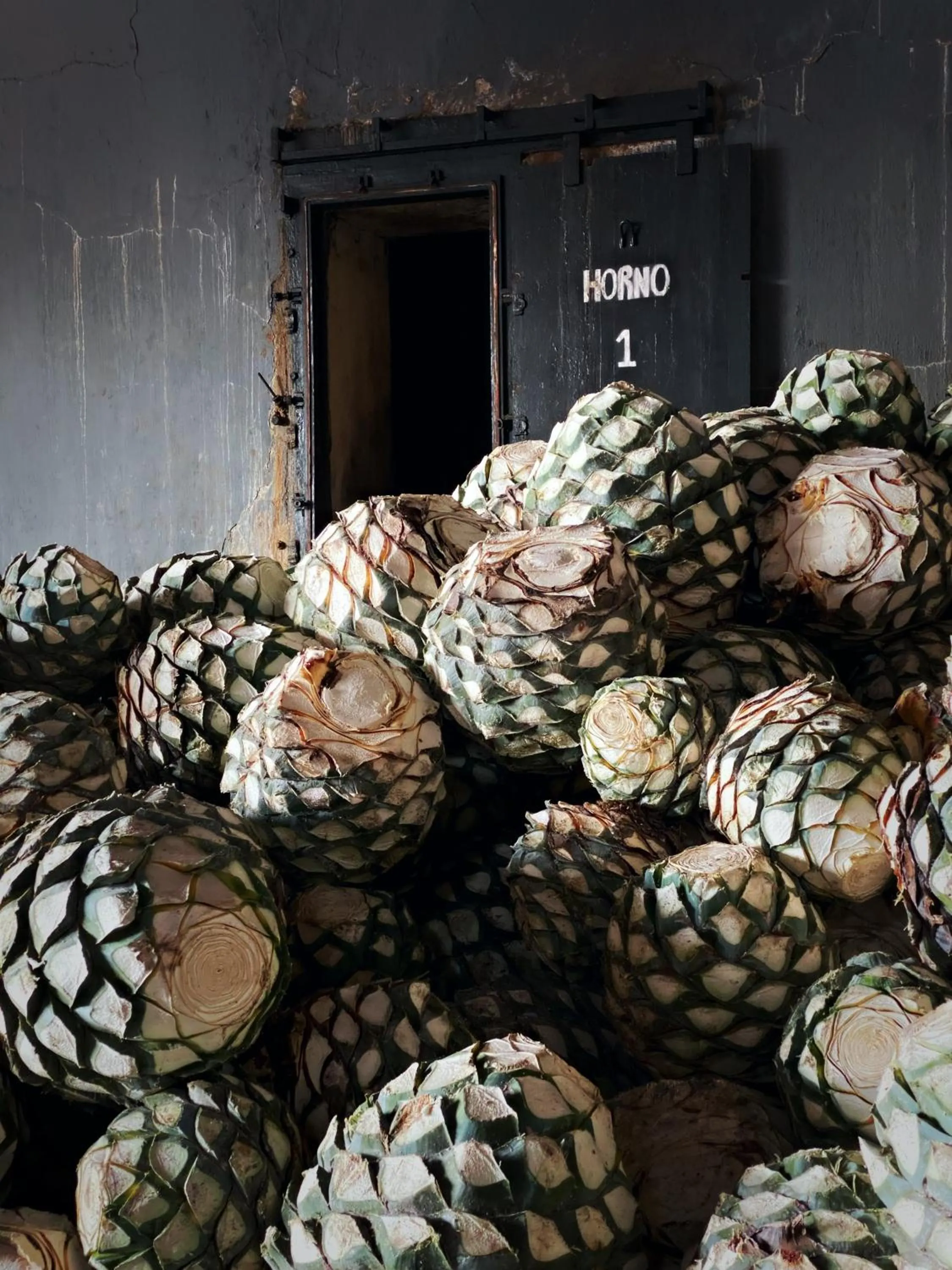 Matices Hotel de Barricas