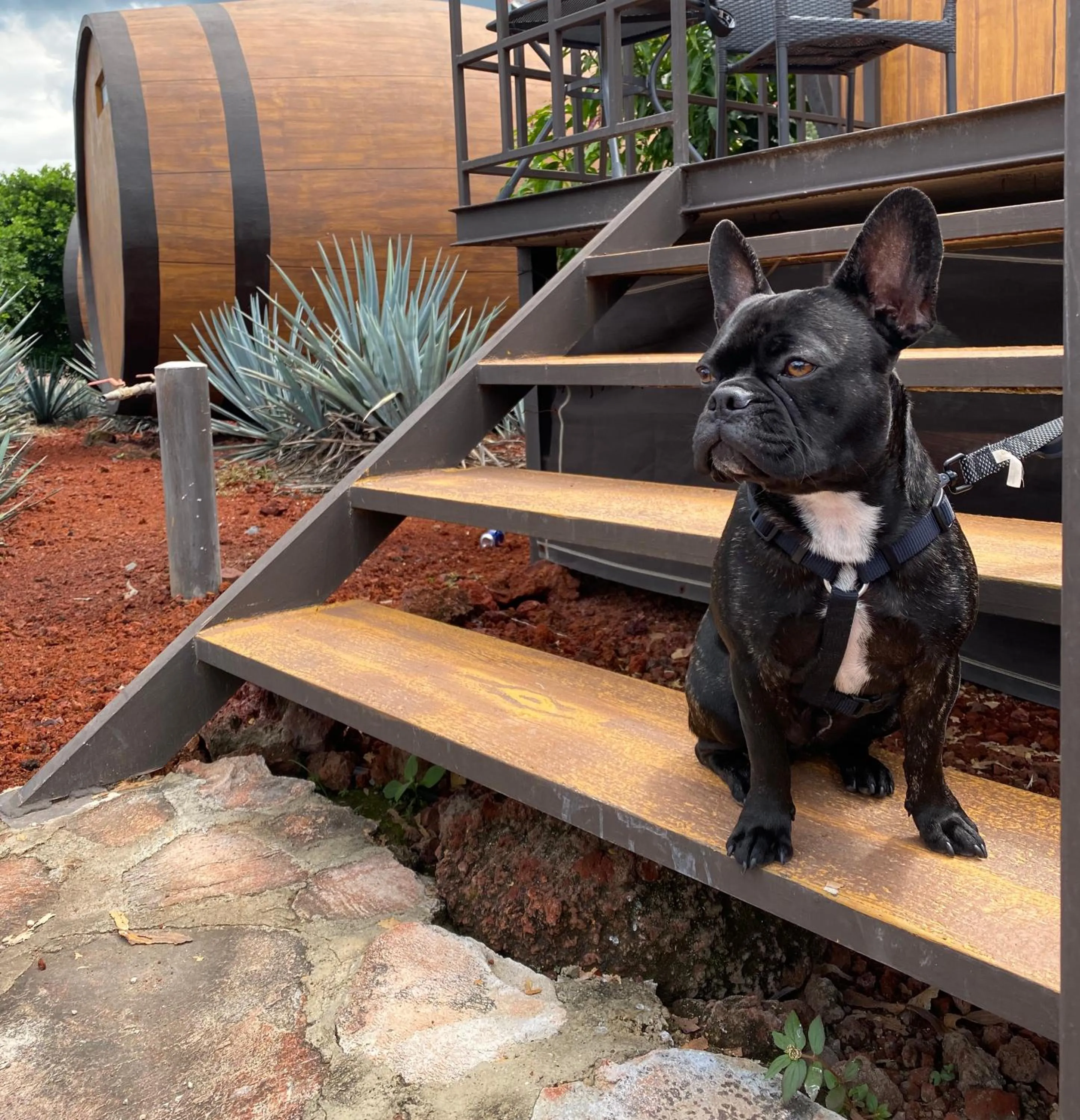 Matices Hotel de Barricas