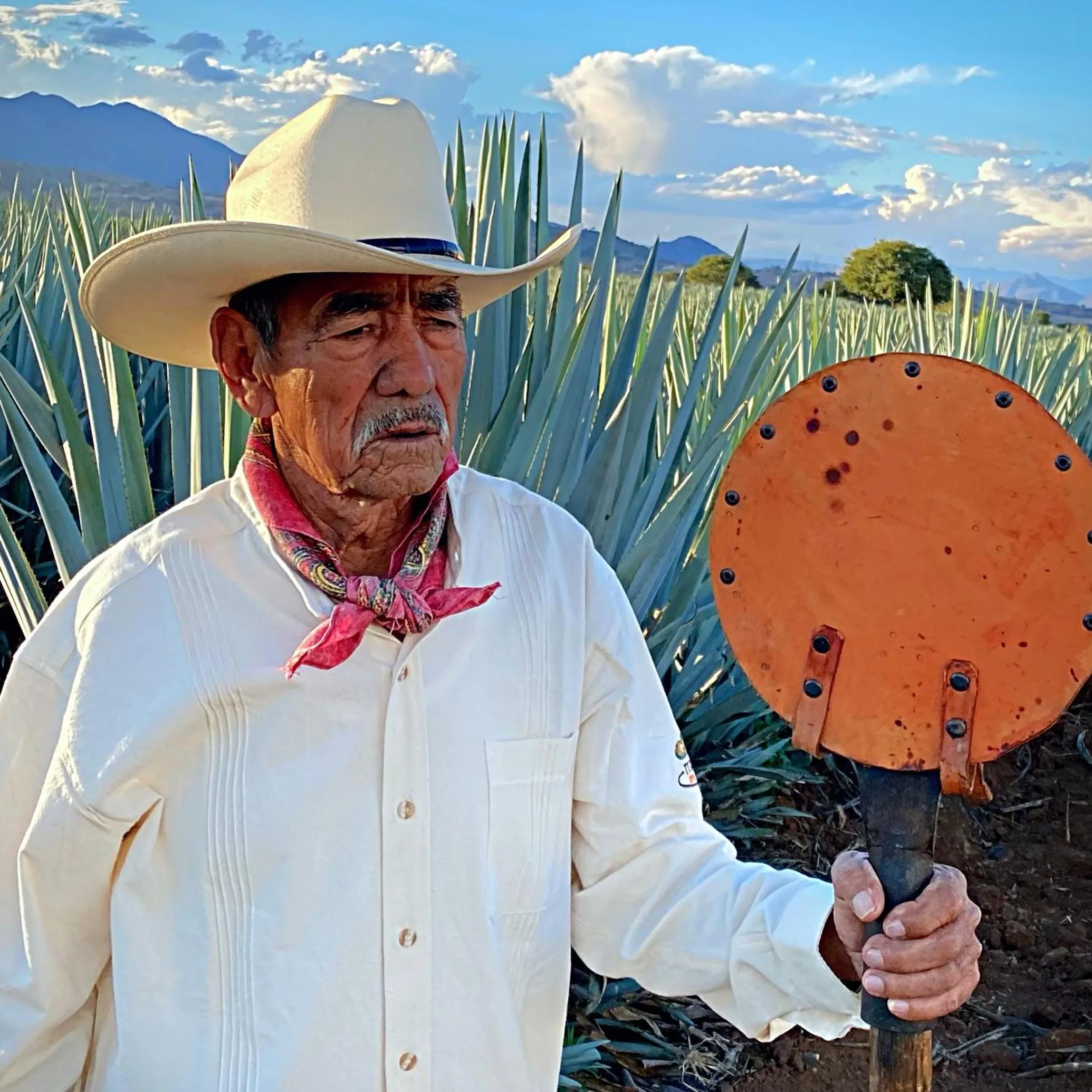 Matices Hotel de Barricas