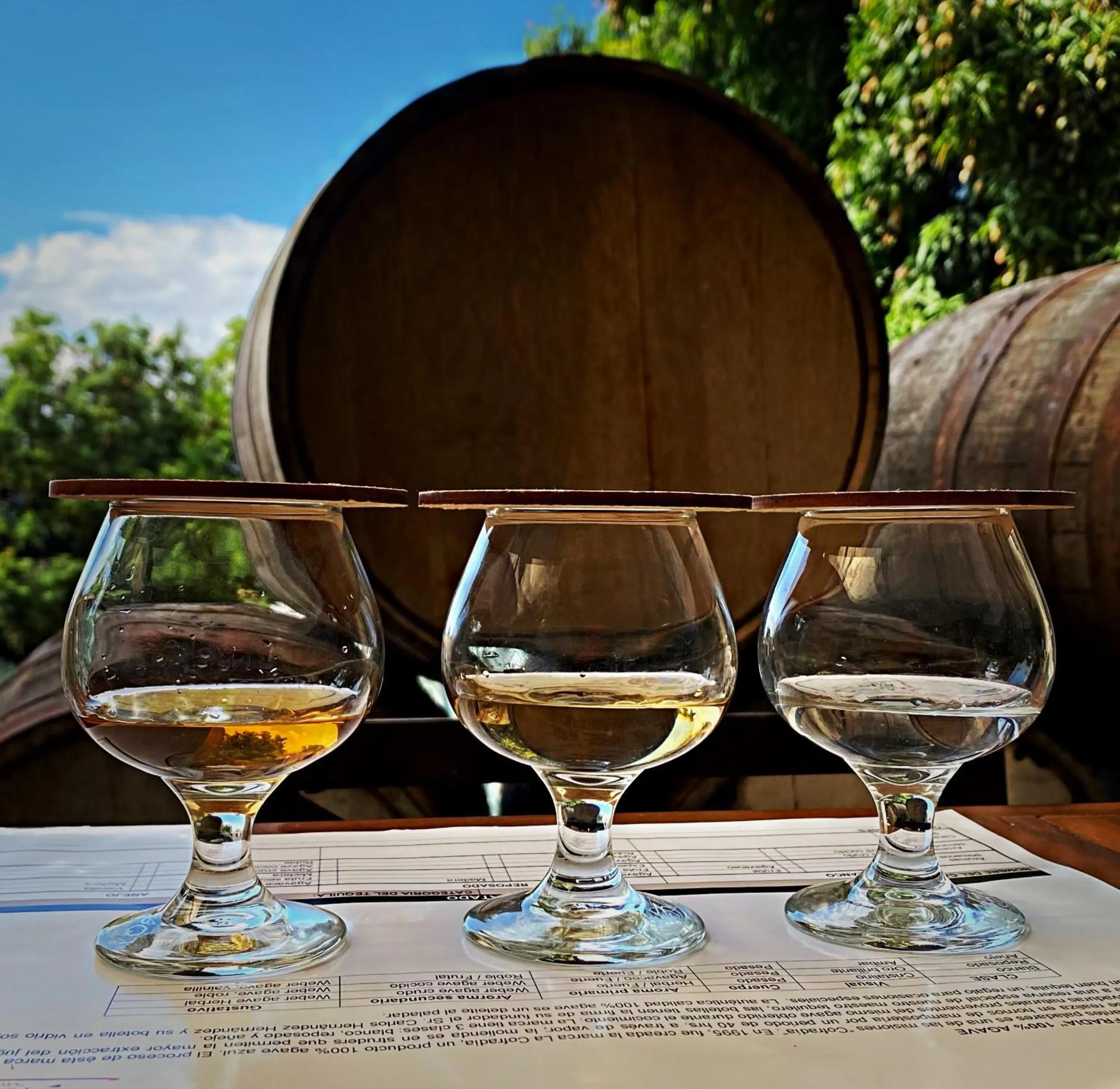 Matices Hotel de Barricas