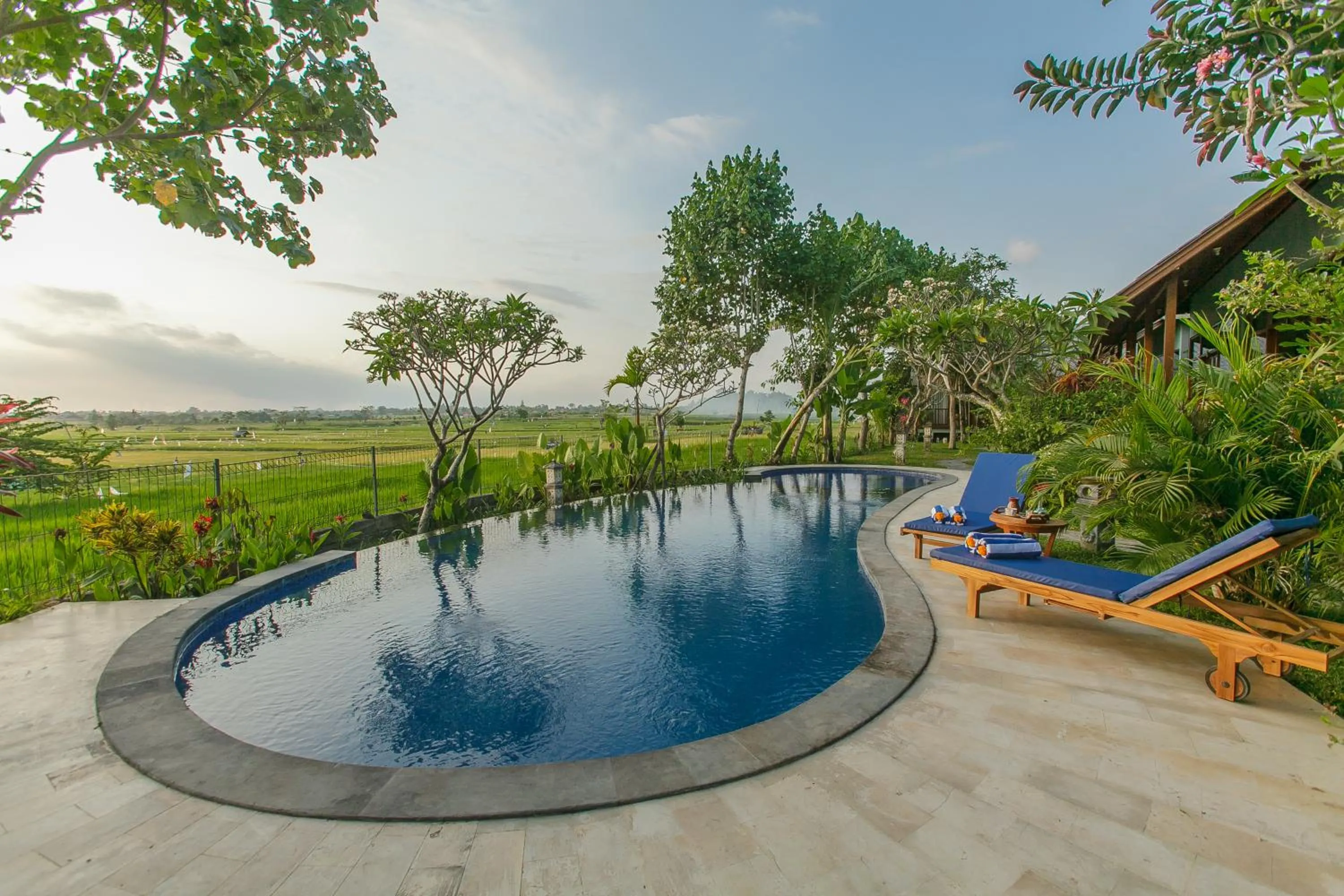 Swimming pool in Villa D'Carik Bali