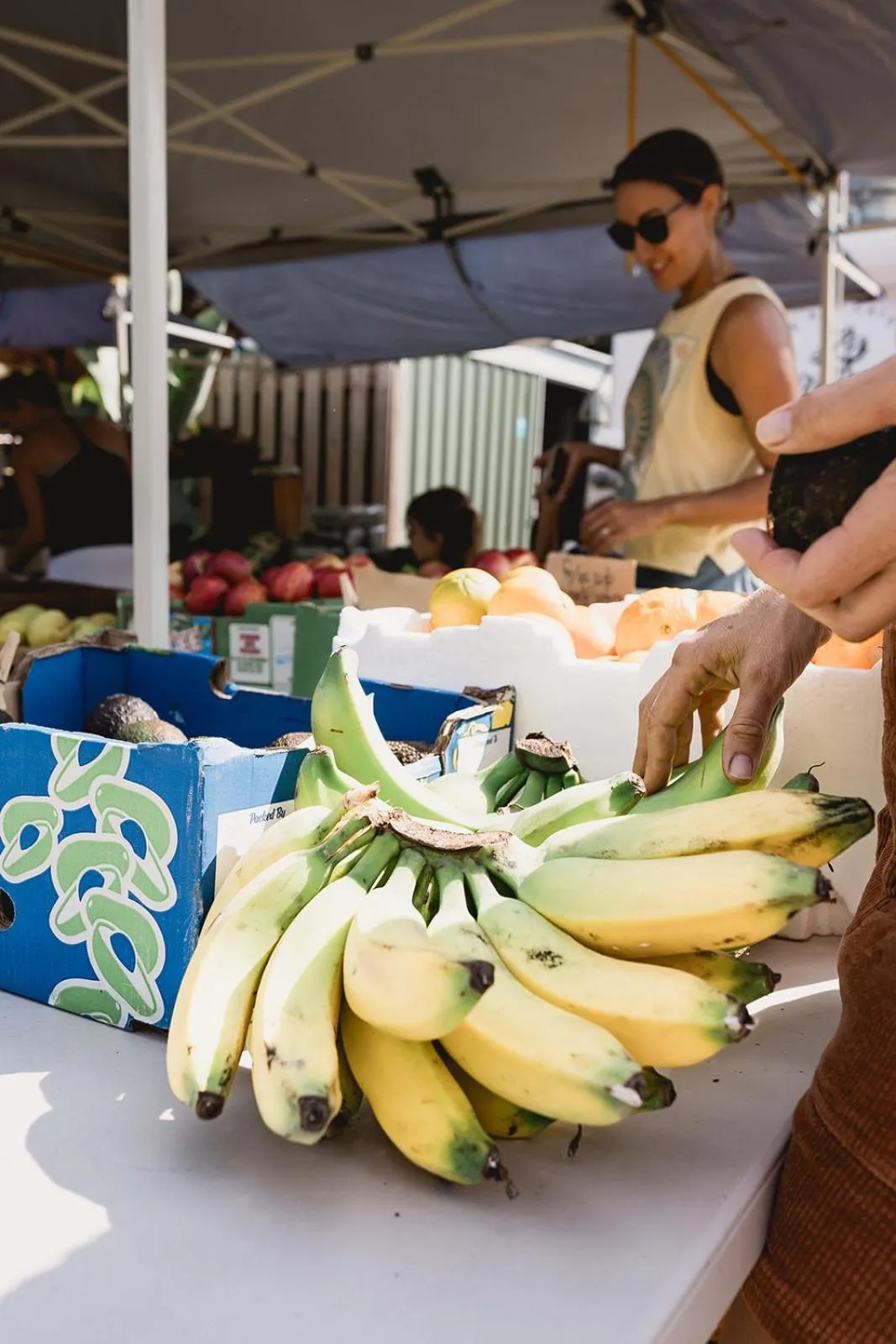 Food and drinks in 1770 Getaway Villas