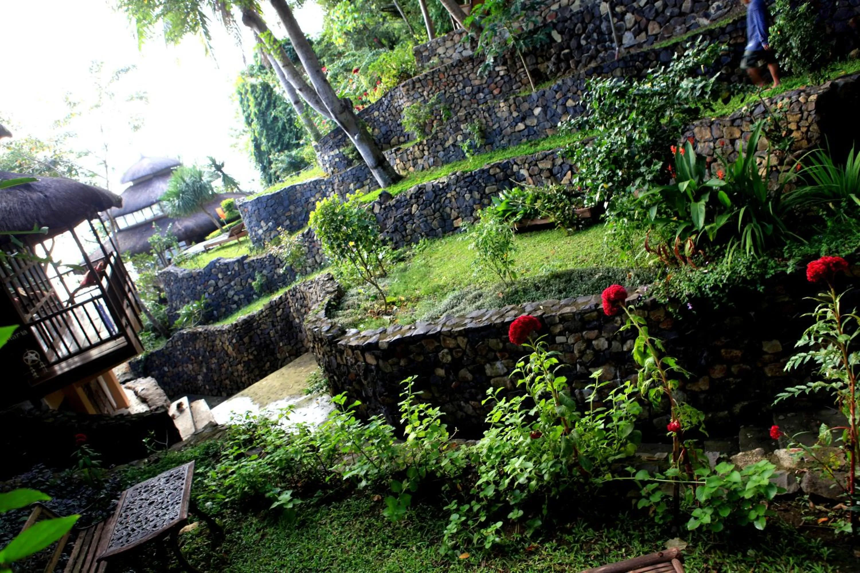 Garden in Casita Ysabel