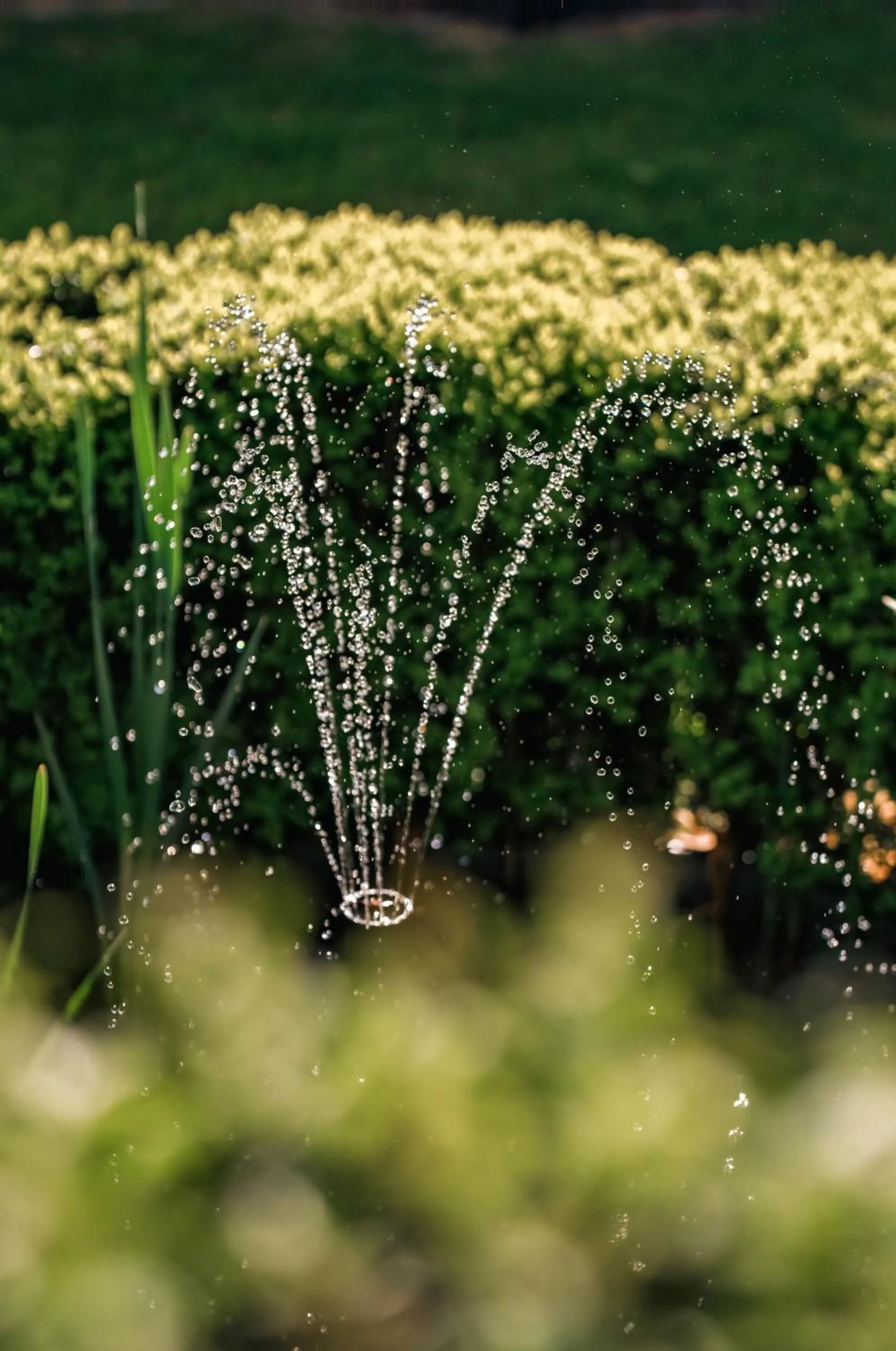 Garden in Panorama Hotel St Helens