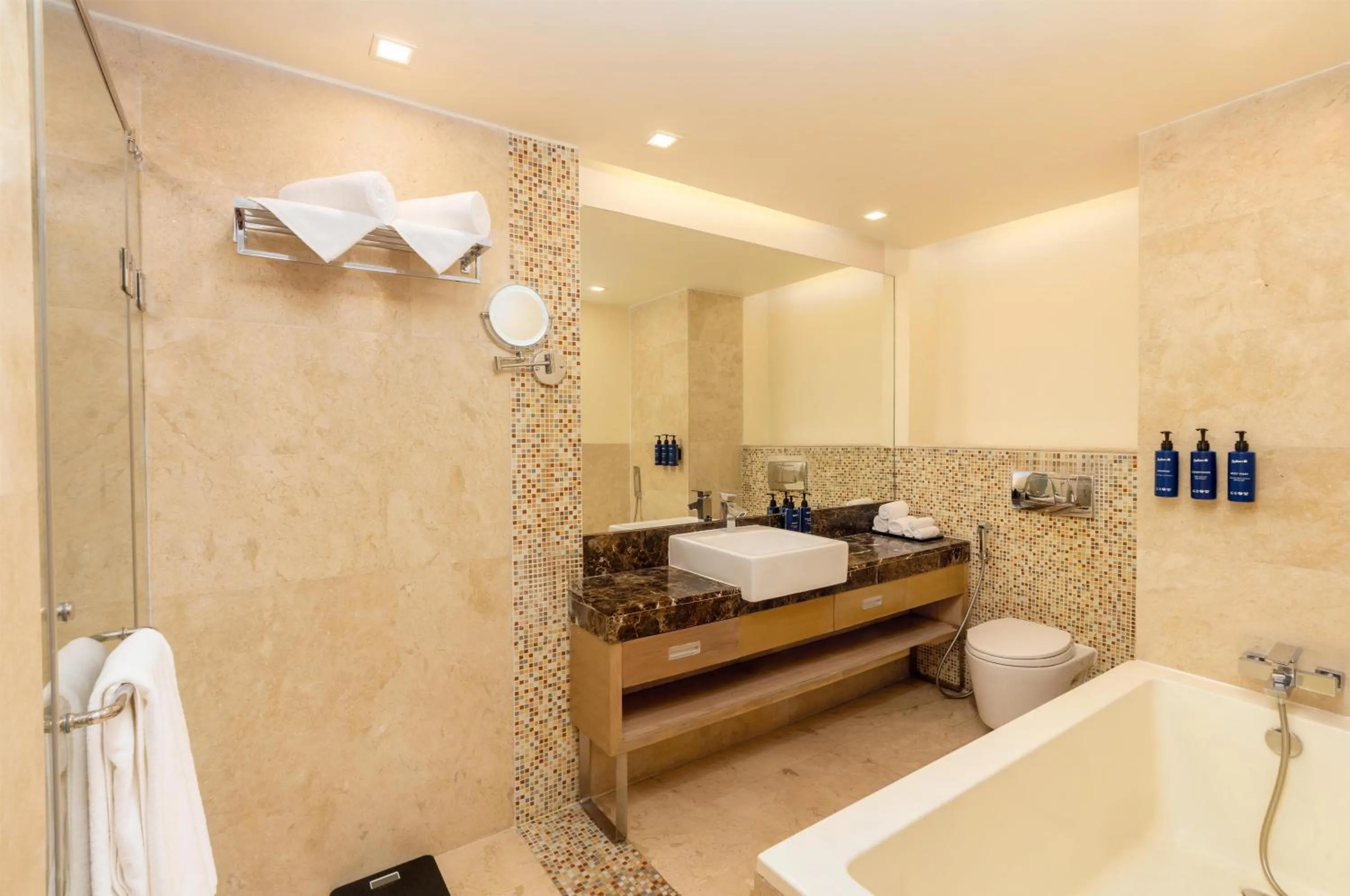 Bathroom in Radisson Blu Hotel, Greater Noida