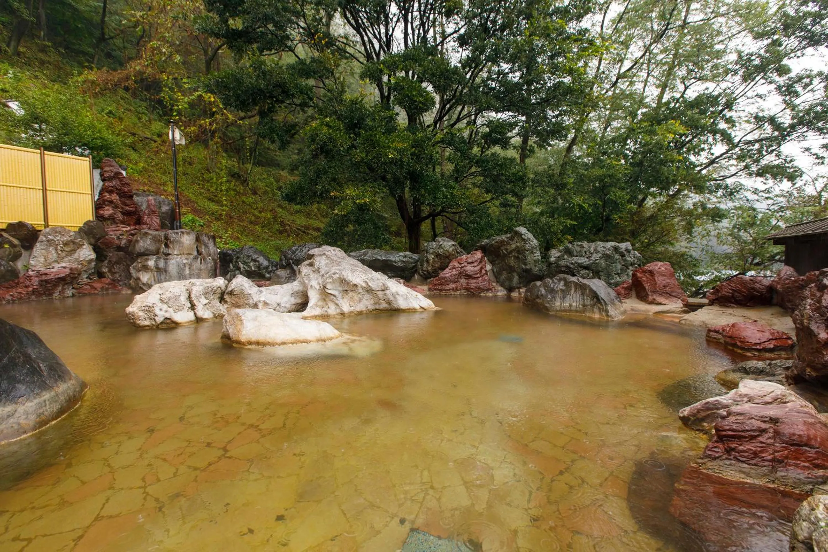 Hot Spring Bath in Wakamiro