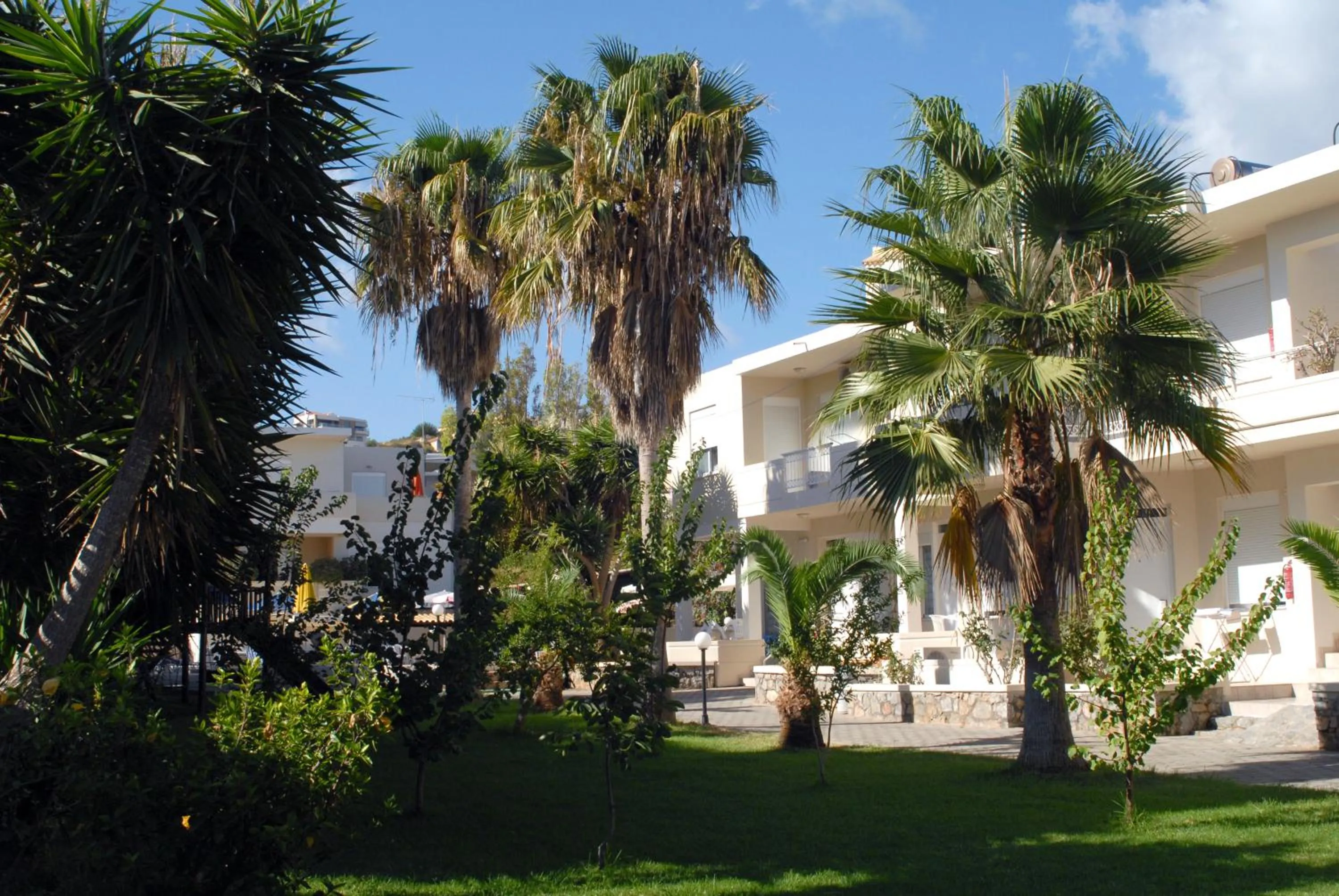 Garden in Evilion hotel