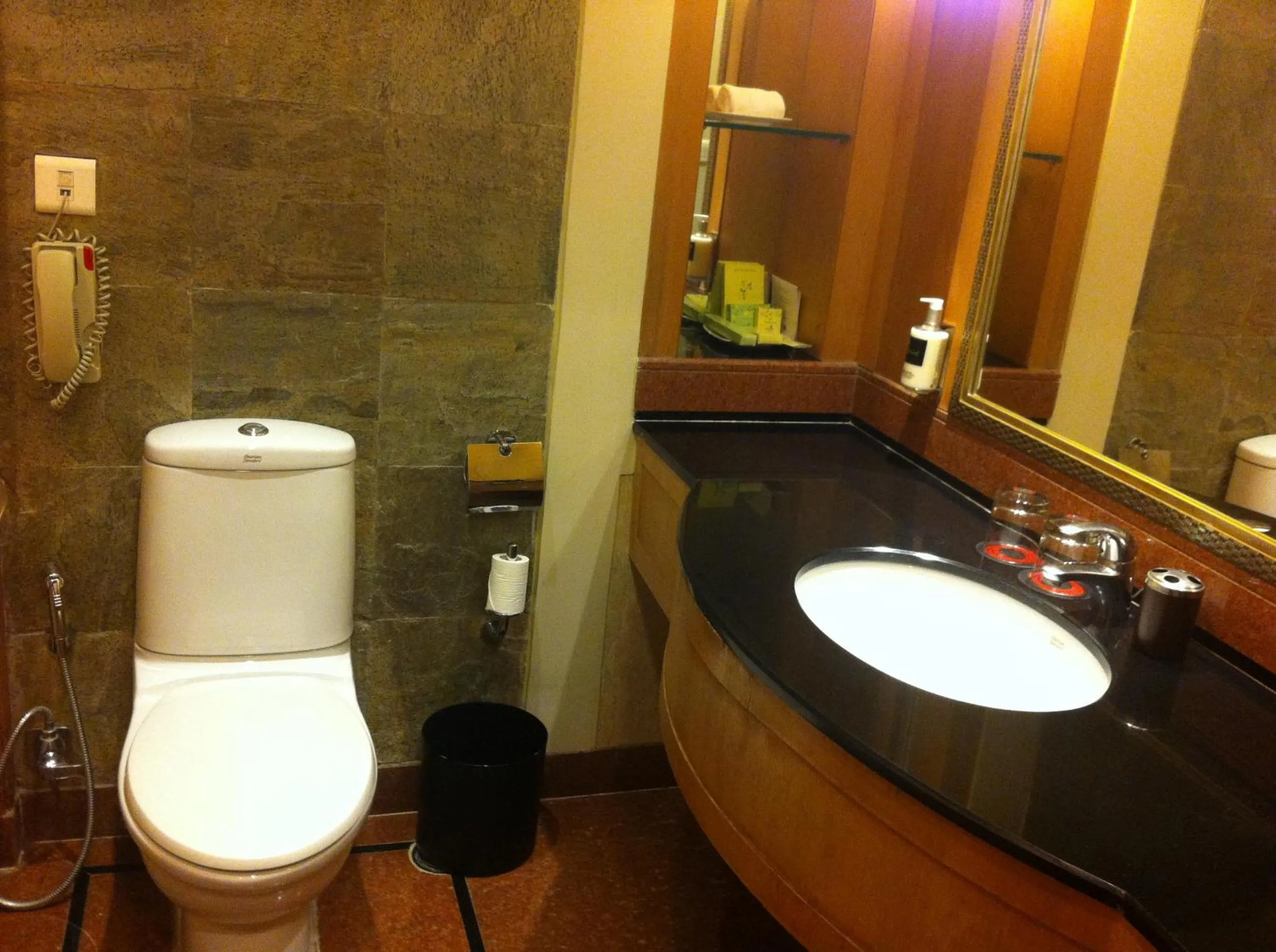 Toilet in Lemon Tree Premier, Jaipur