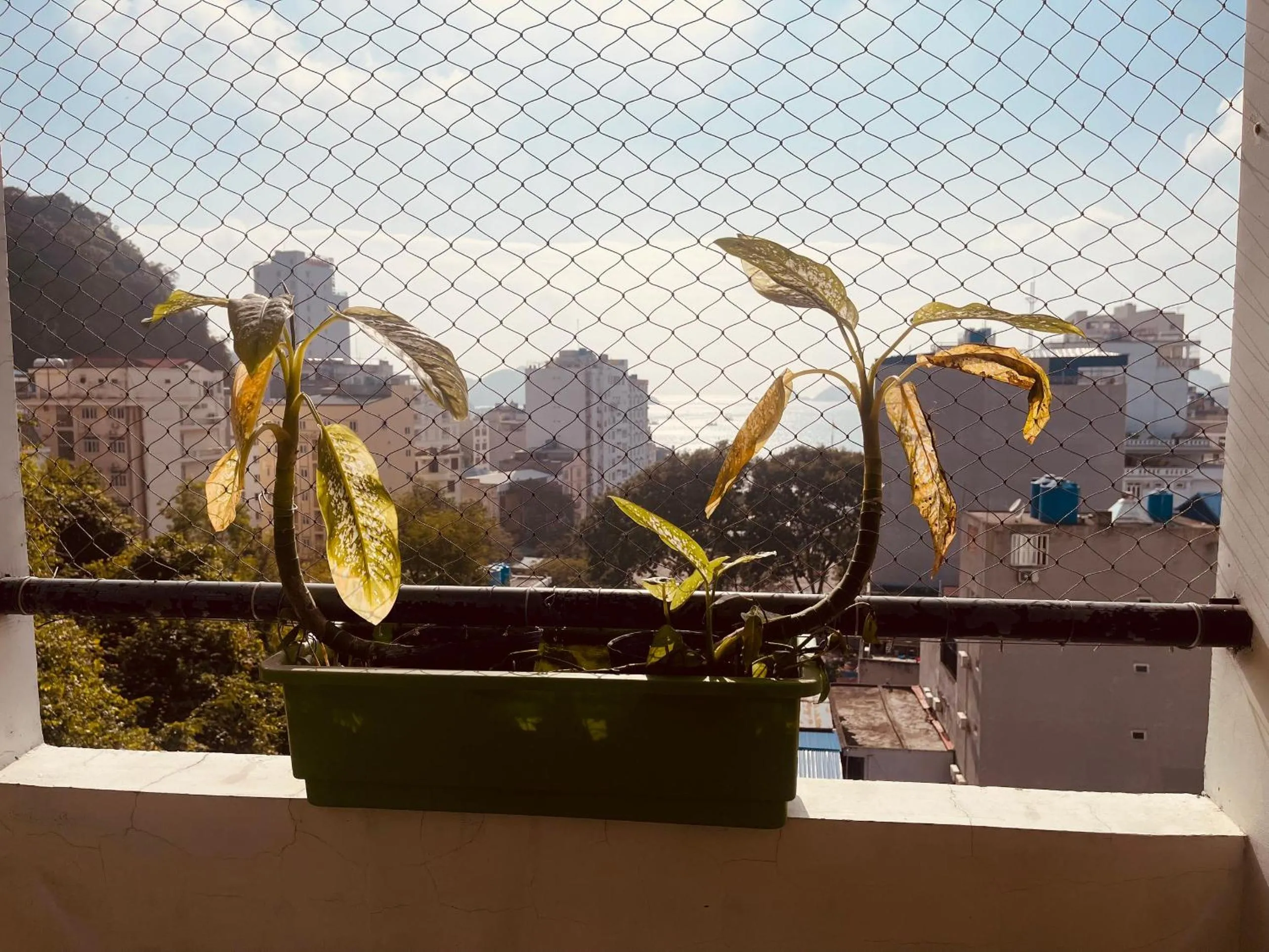 CatBa Sky View Hotel