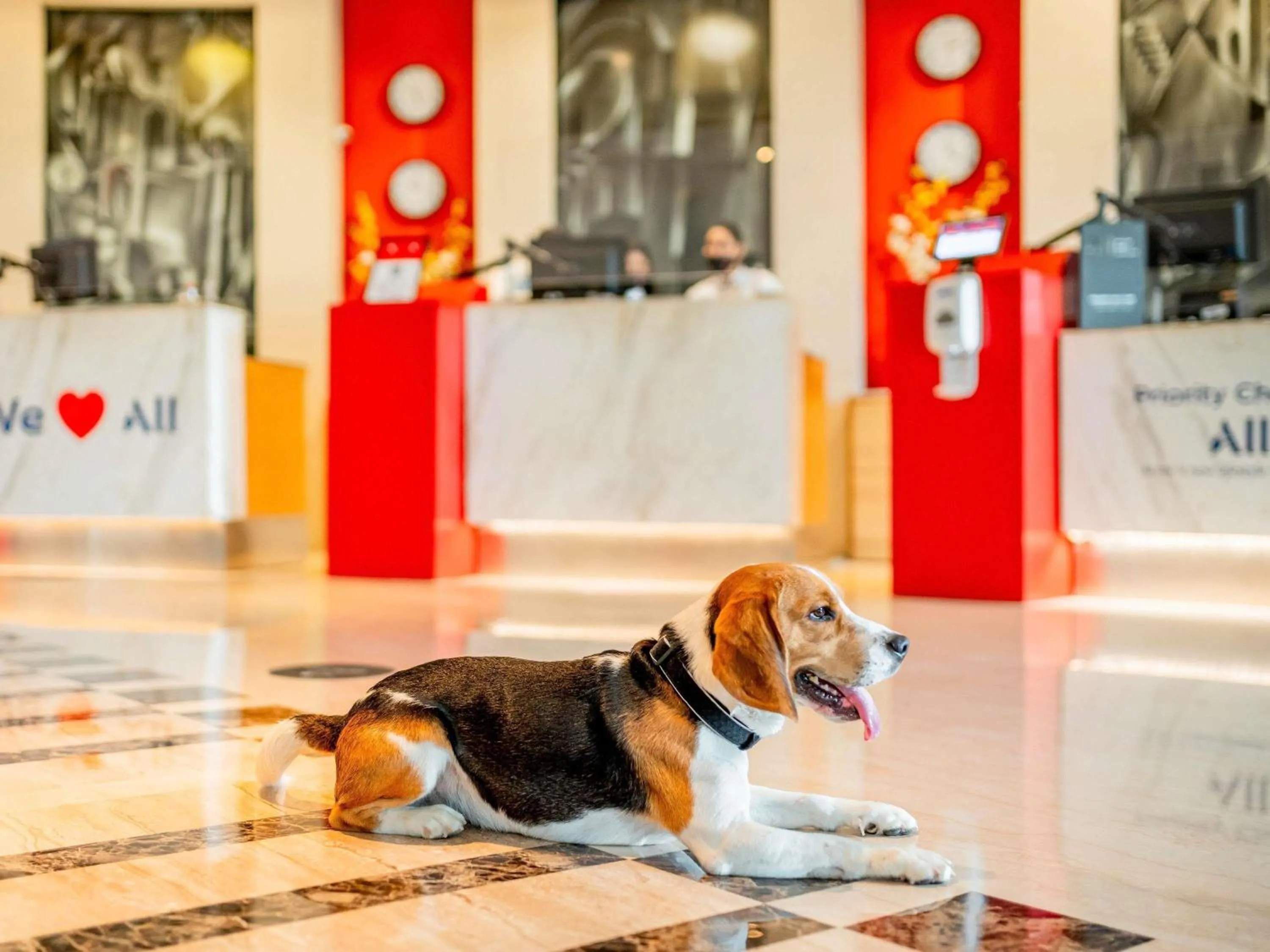 Other in ibis New Delhi Aerocity - An Accor Brand