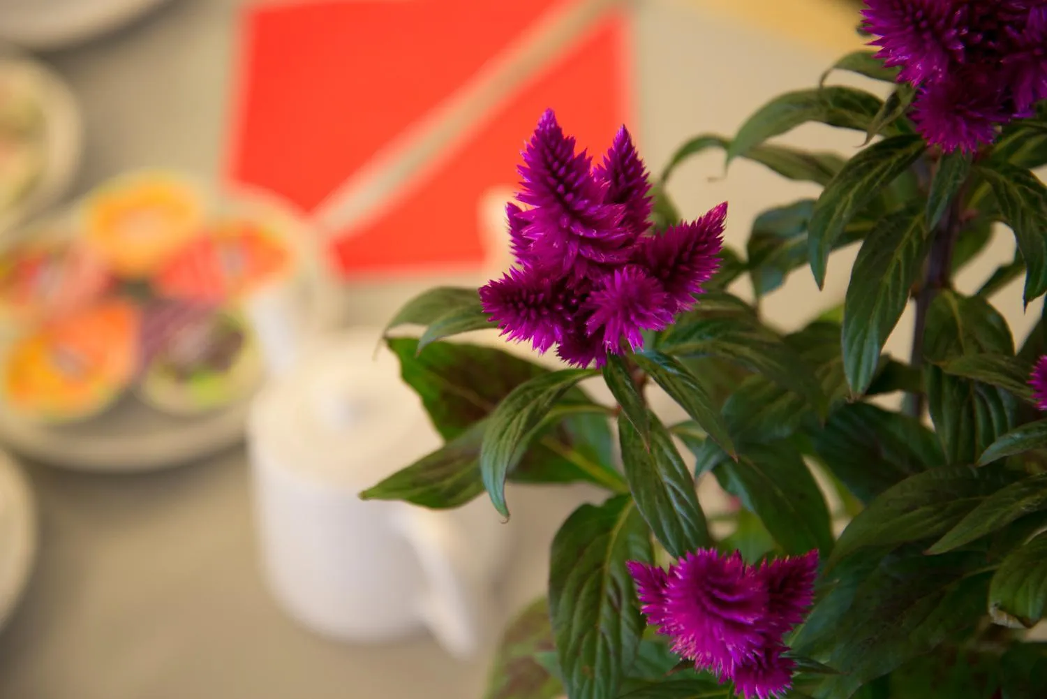 Decorative detail in Hotel L'Escale