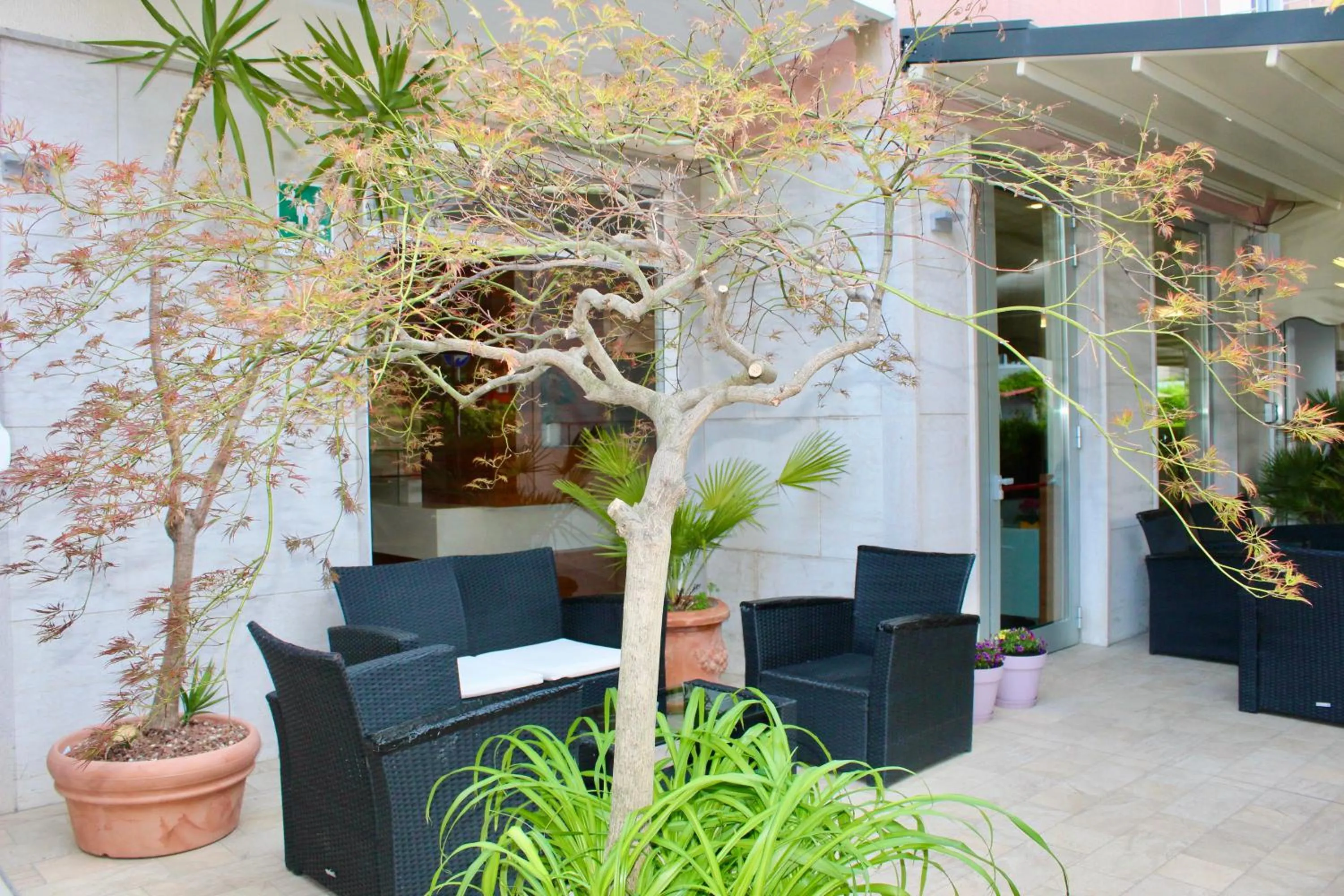 Garden in Hotel Cristina