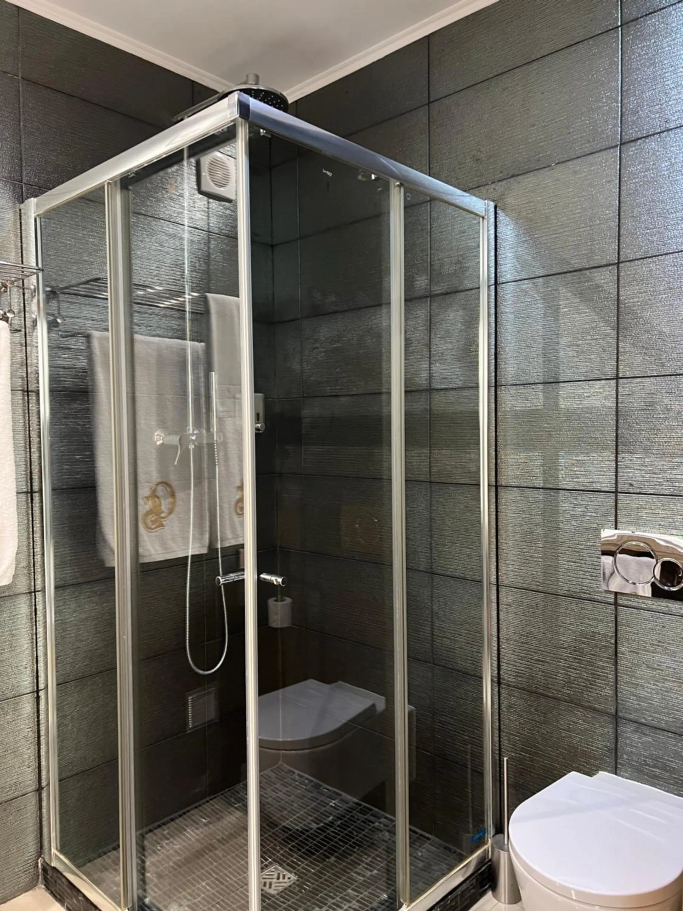 Shower in Quinta Saleiro Guesthouse