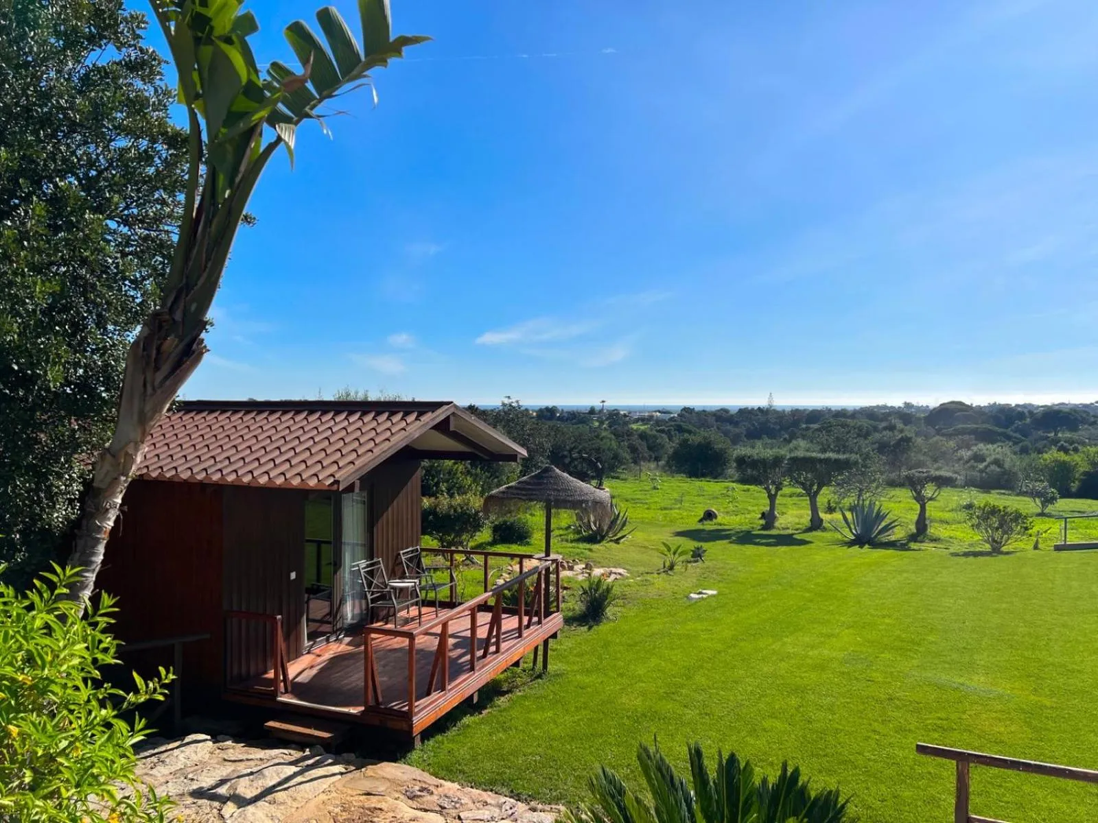 Garden in Quinta Saleiro Guesthouse