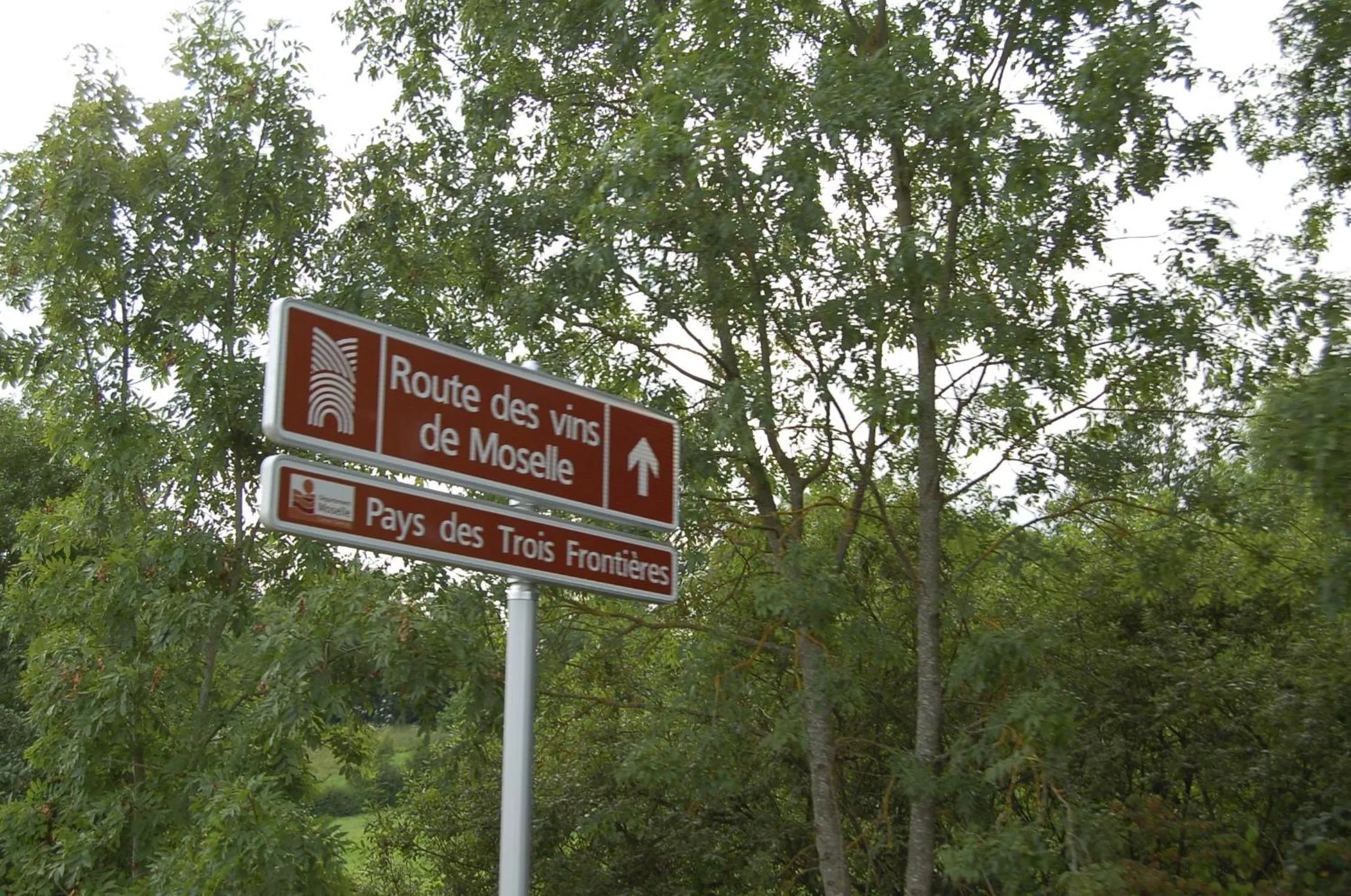 Activities in Chambres d'Hôtes Le Clos Du Verger