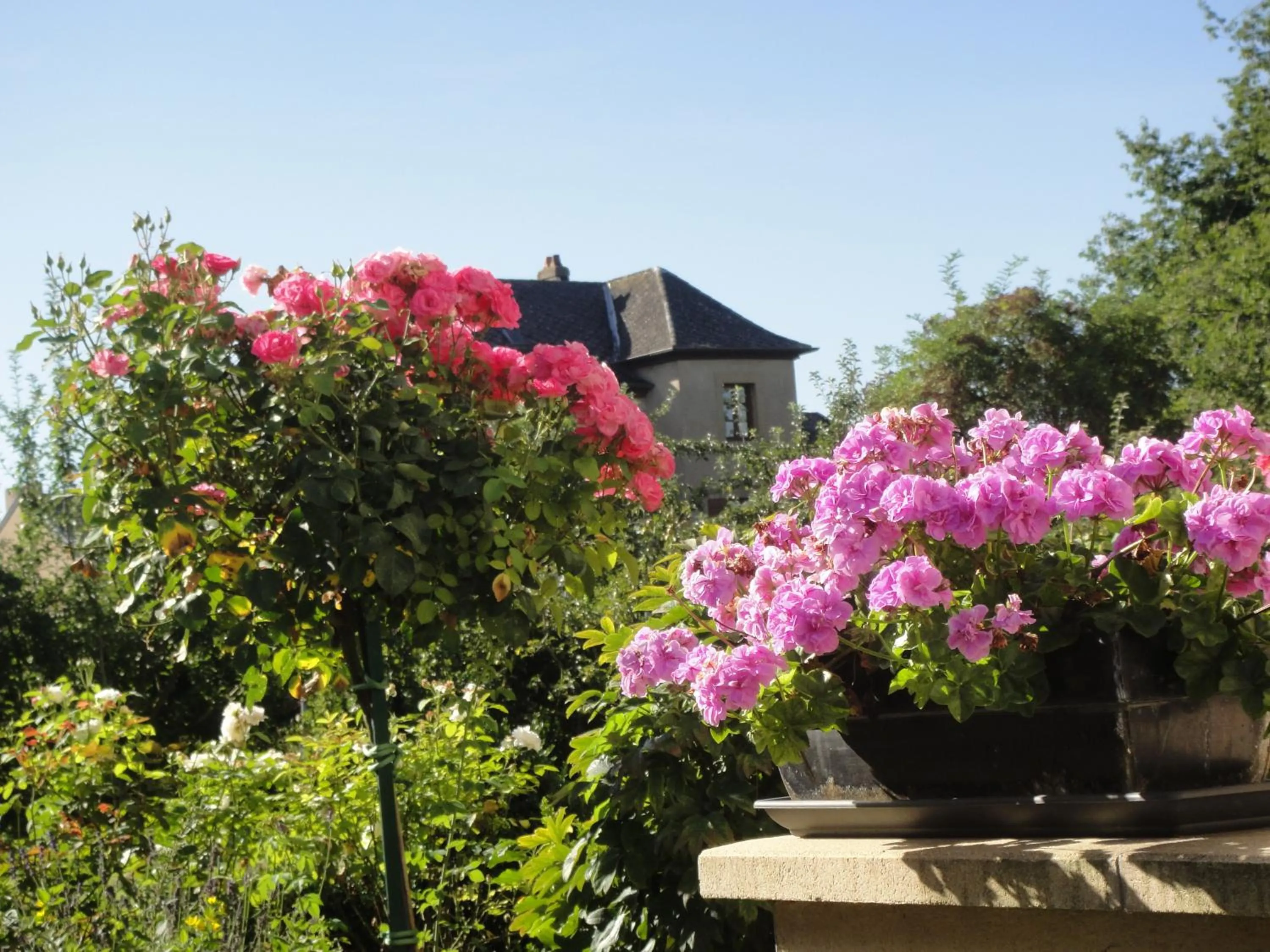 View (from property/room) in Chambres d'Hôtes Le Clos Du Verger