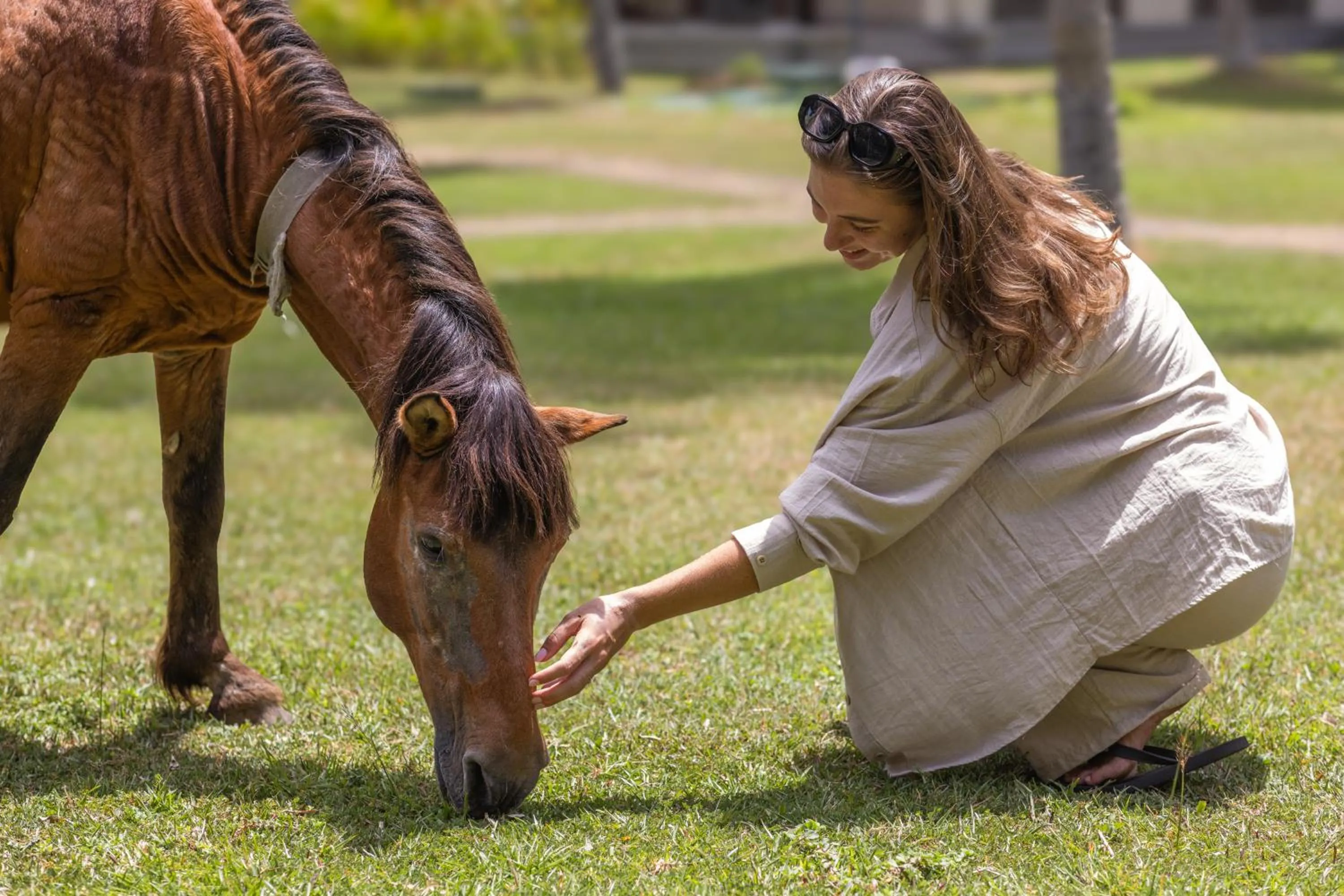 Tamarind Tree Garden Resort - Katunayake