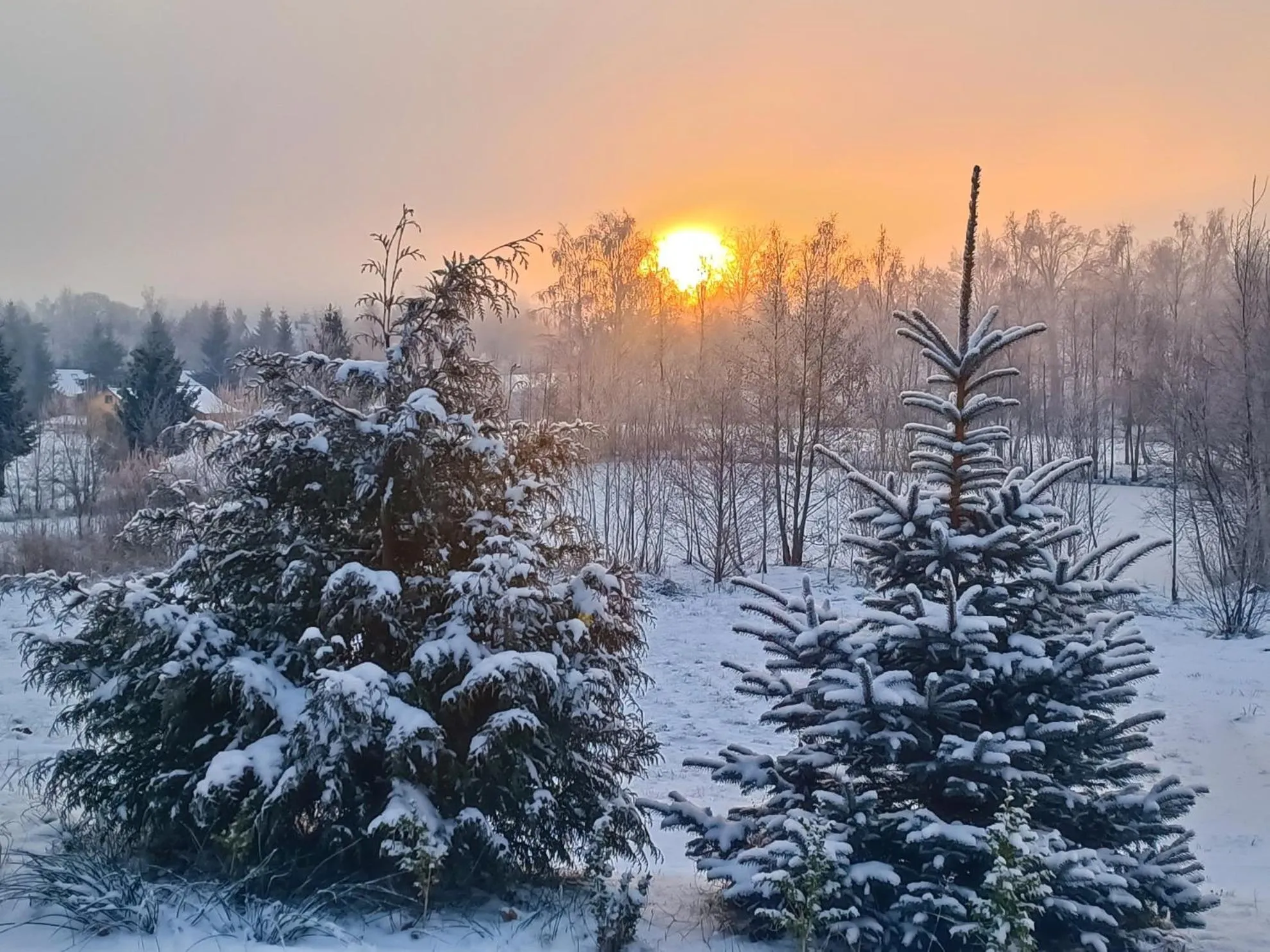Natural landscape in Blu Raj - domy w Sudetach