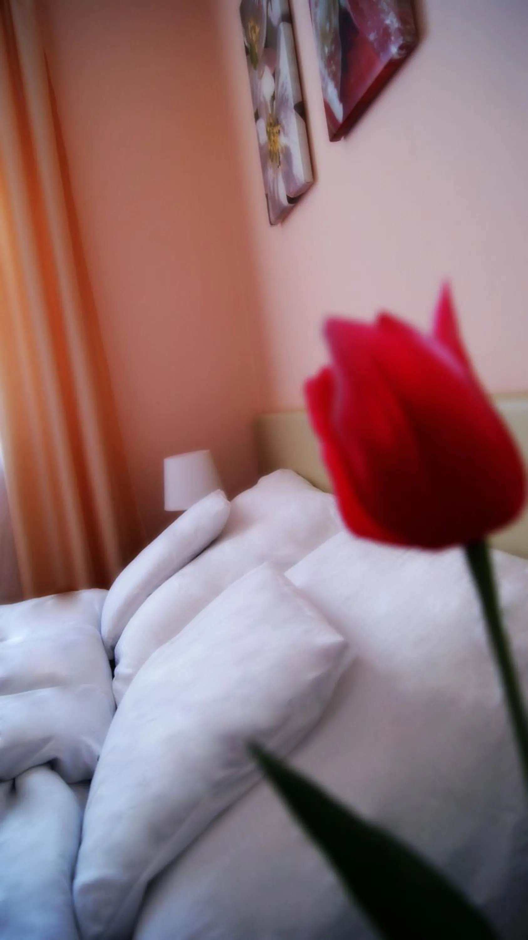 Bed in Gościniec Margo