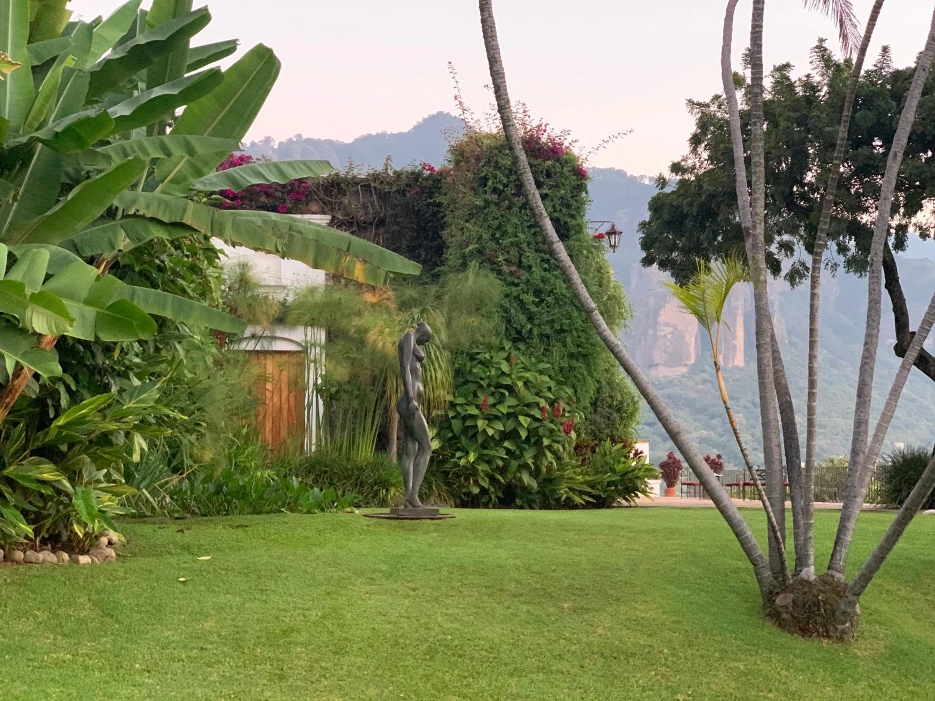 Garden in Posada del Tepozteco - Hotel & Gallery