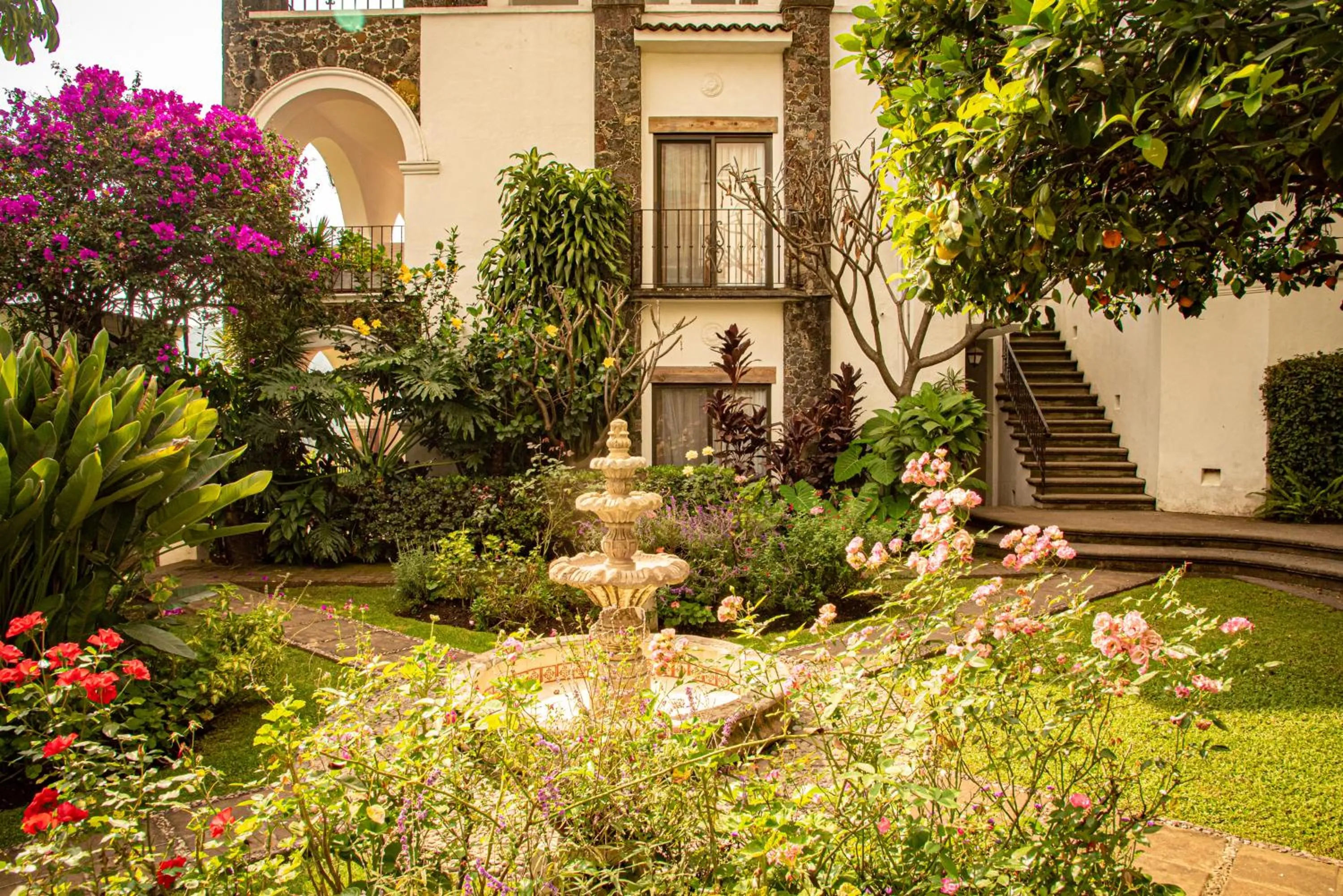 Garden in Posada del Tepozteco - Hotel & Gallery