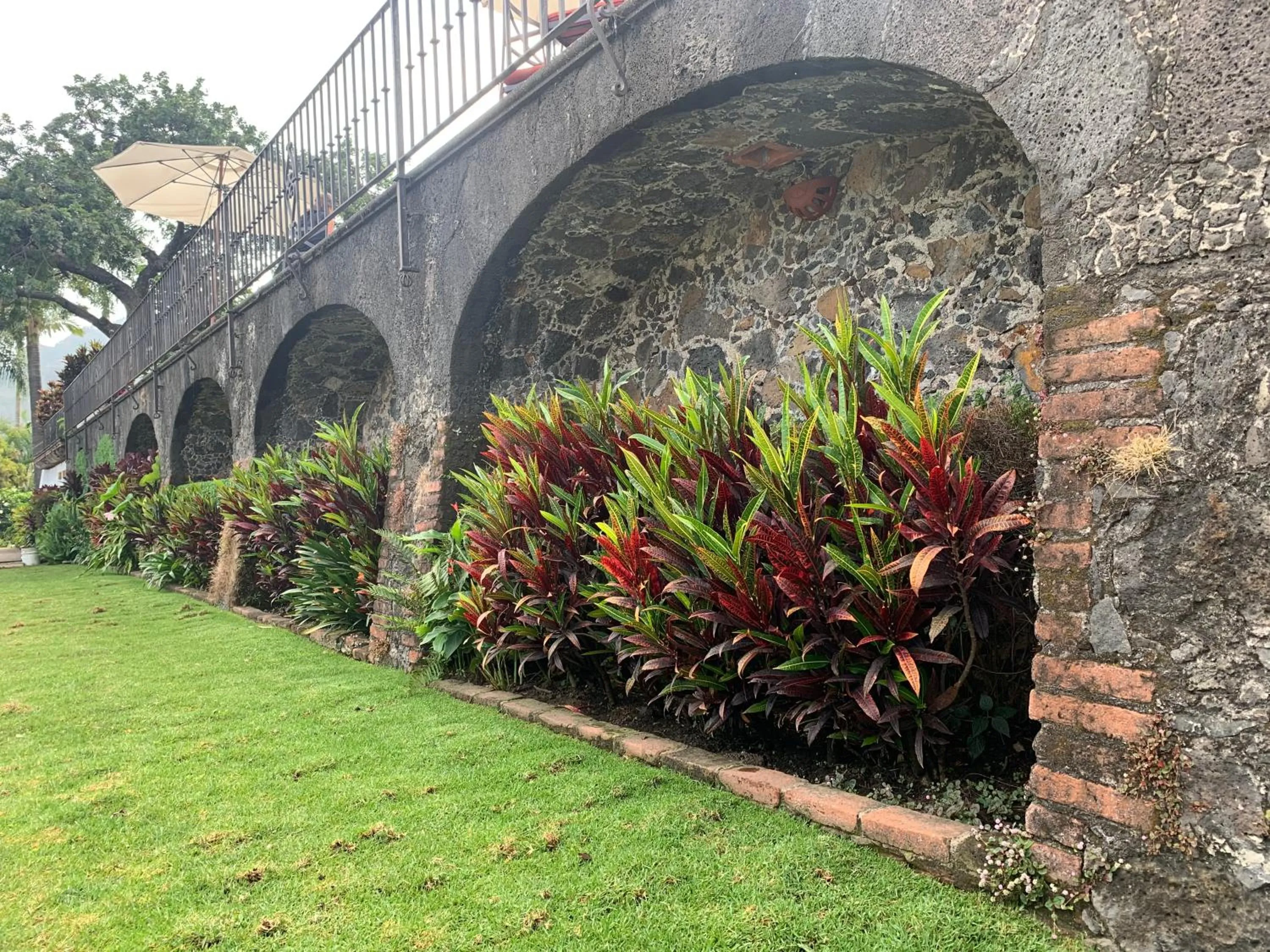 Garden in Posada del Tepozteco - Hotel & Gallery