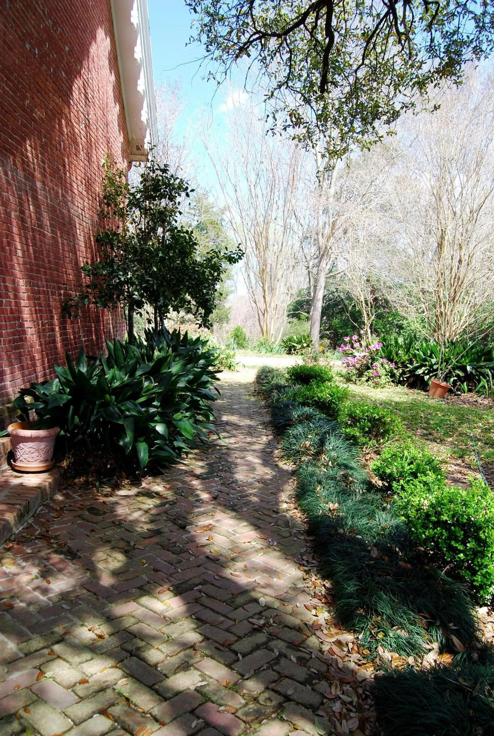 Area and facilities in Glenfield Plantation Historic Antebellum Bed and Breakfast