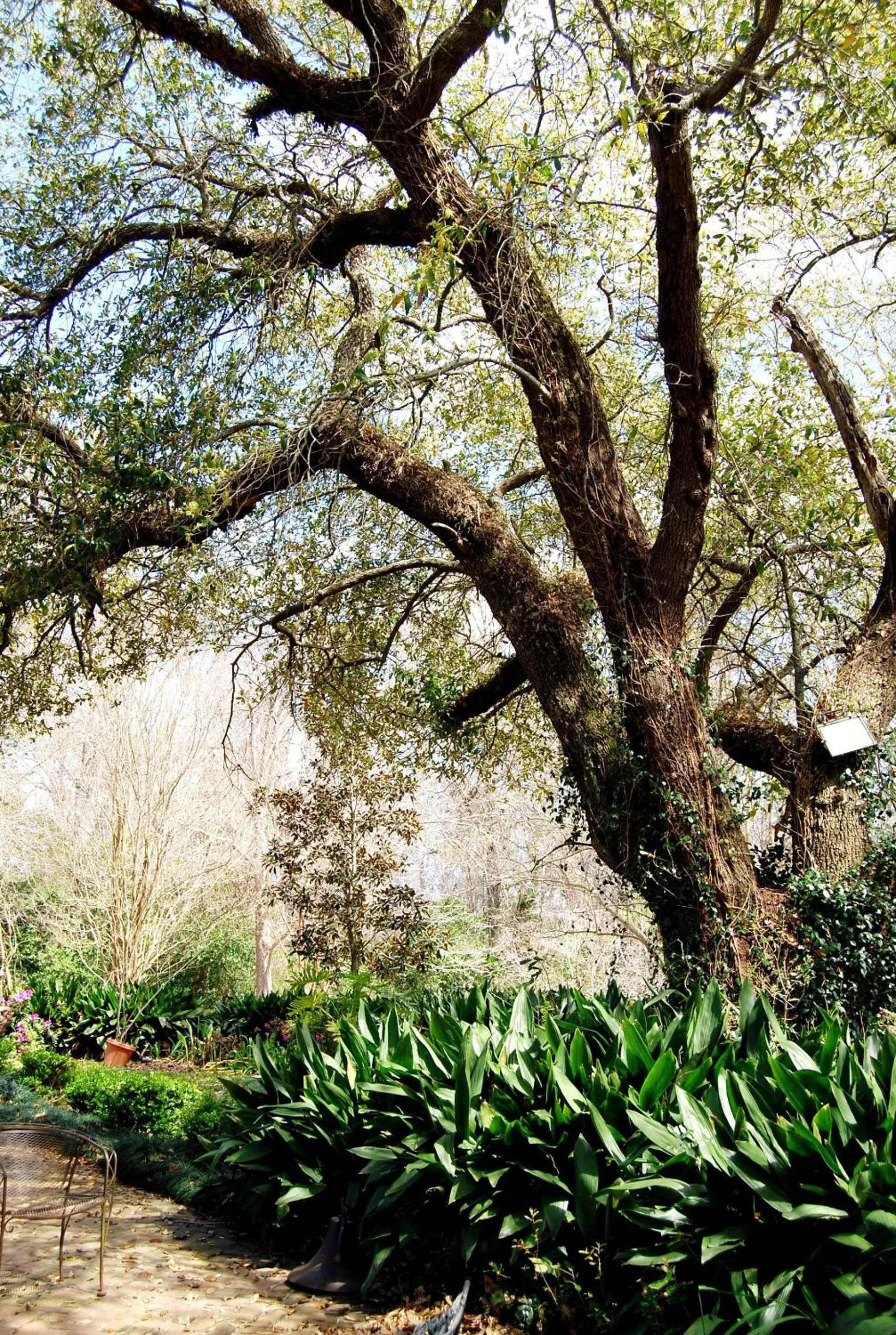 Area and facilities in Glenfield Plantation Historic Antebellum Bed and Breakfast