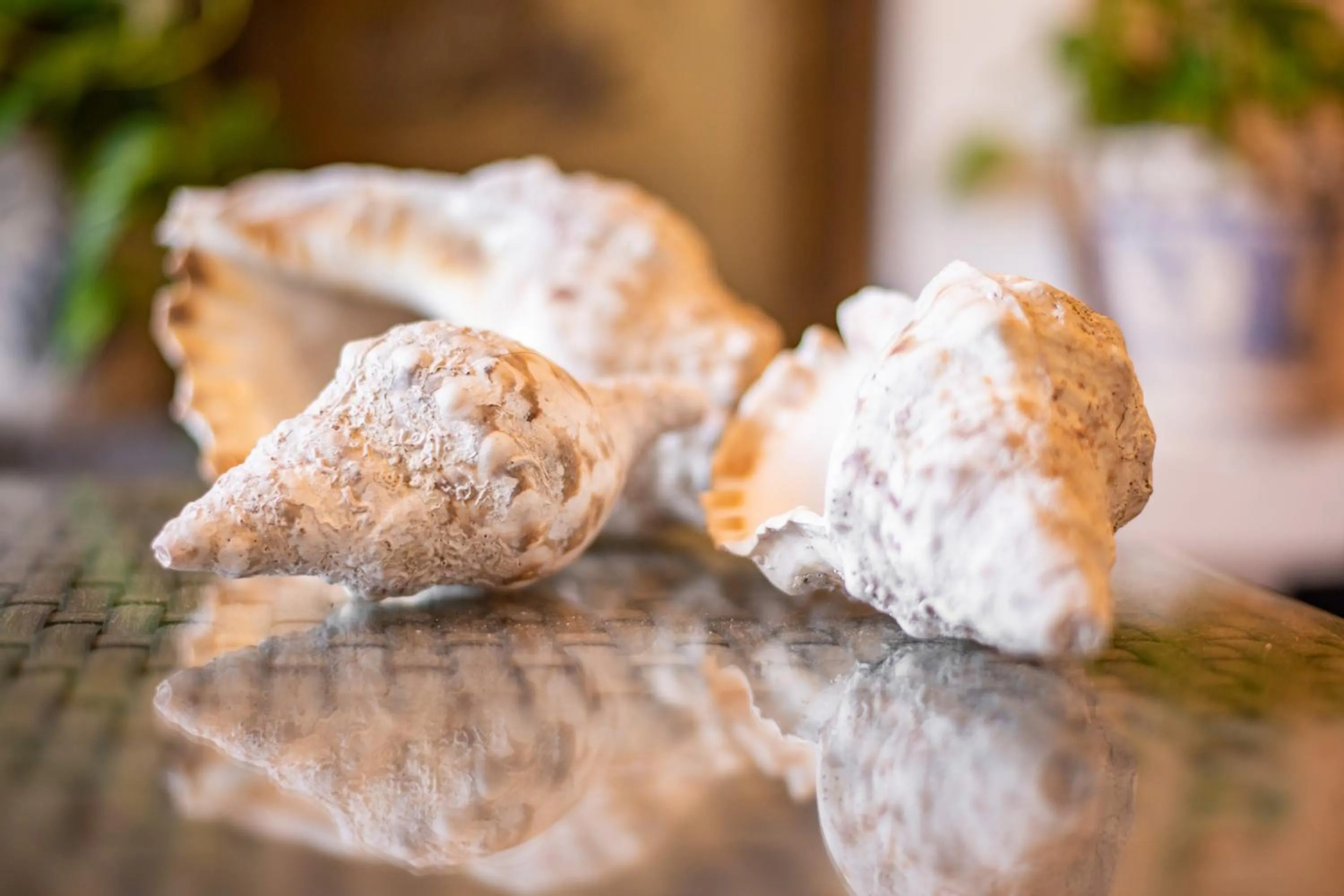 Living room in CASA INTI / INTI HOUSE FURNAS