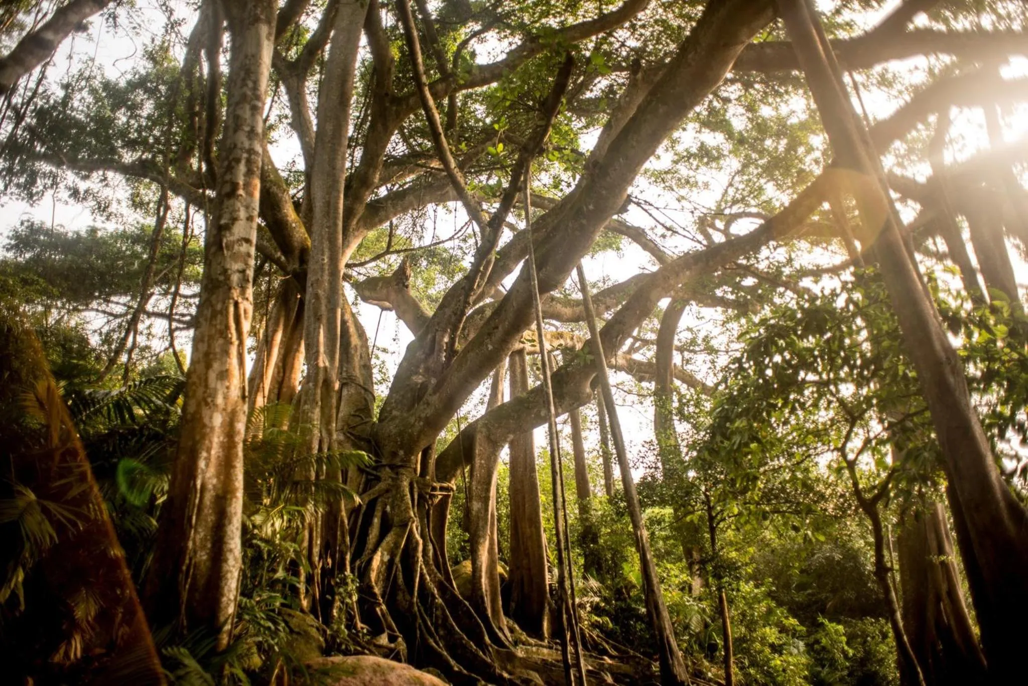 Nearby landmark in InterContinental Danang Sun Peninsula Resort by IHG