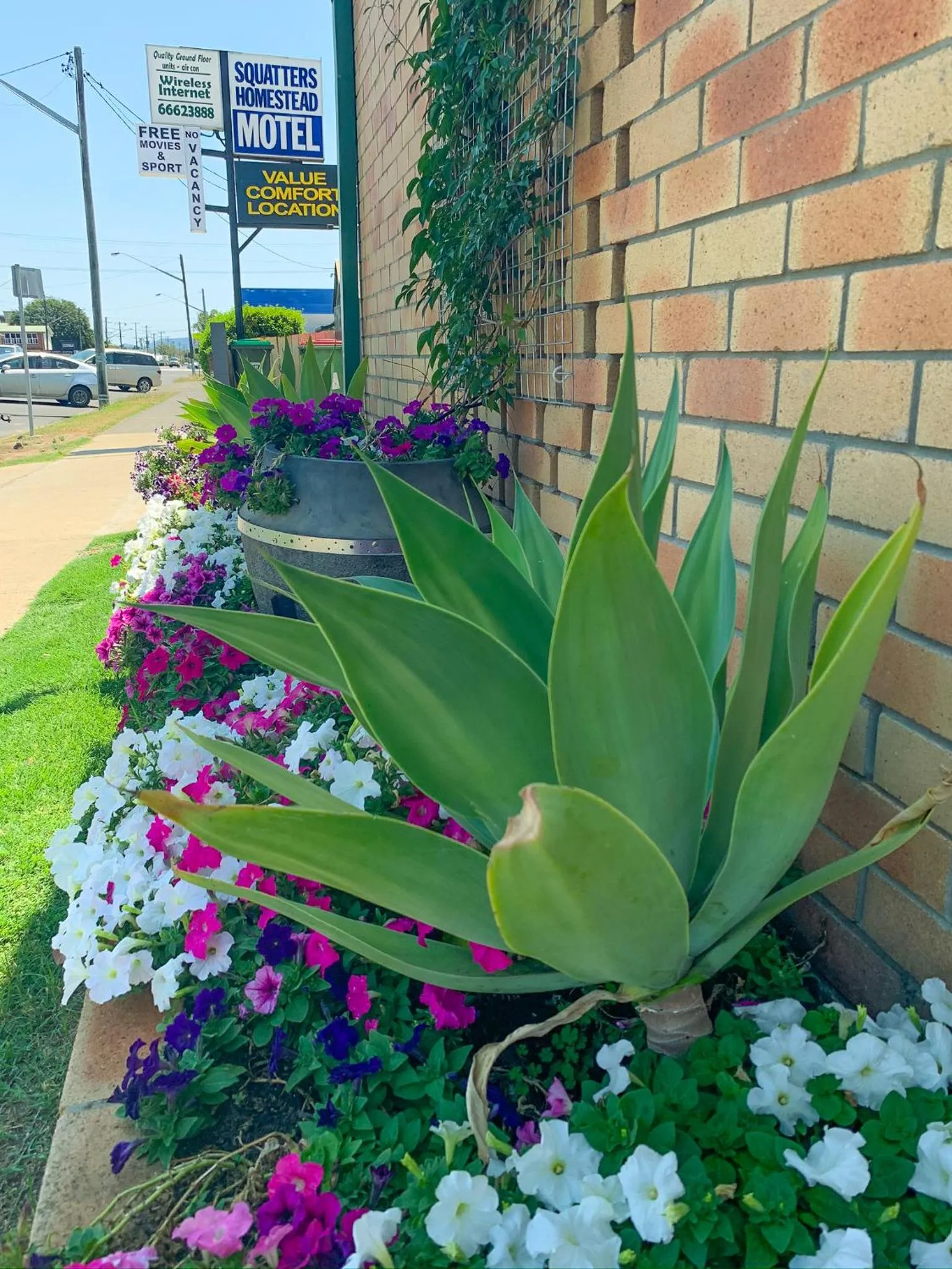 Property building in Squatters Homestead Motel