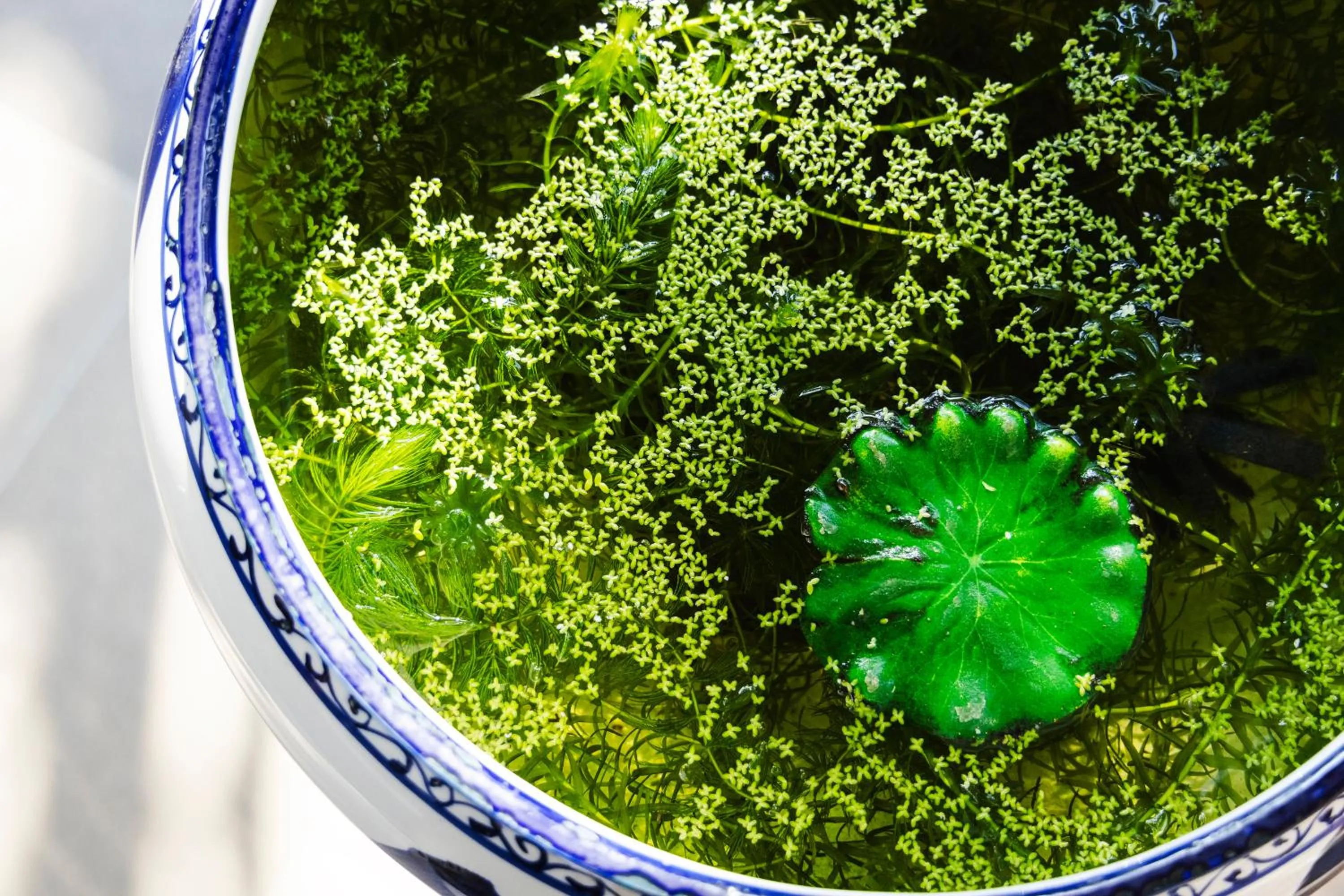 Area and facilities in Ryokan Marumo