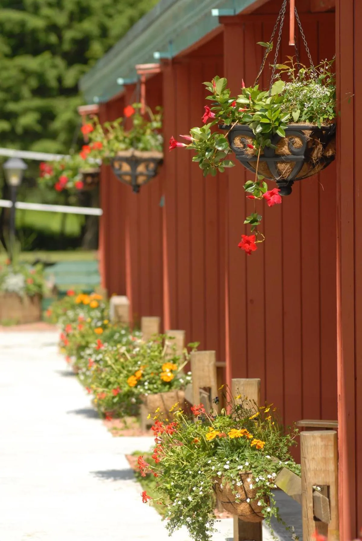 Property building in Motel Long Lake and Cottages