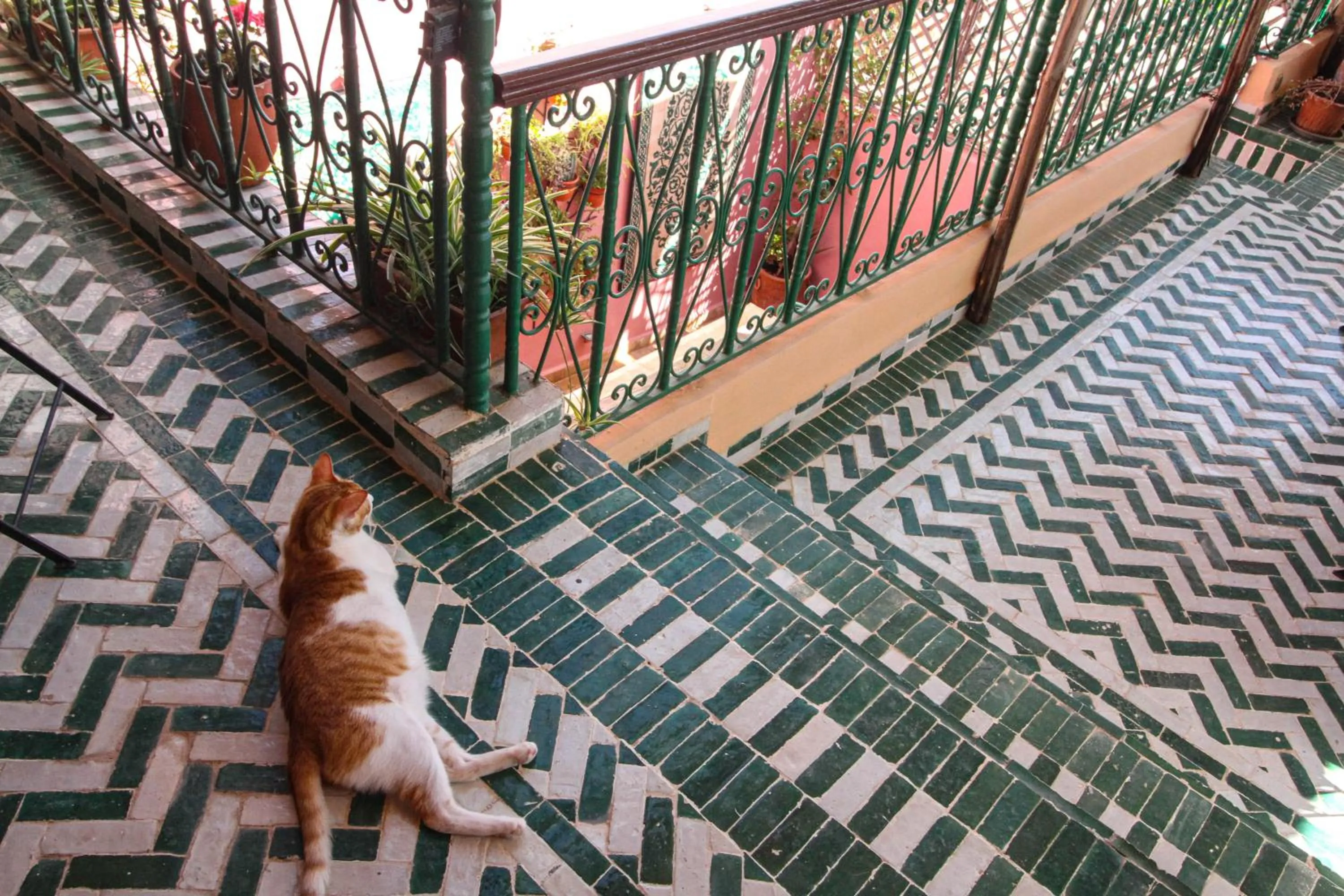 Patio in Dar Lantana