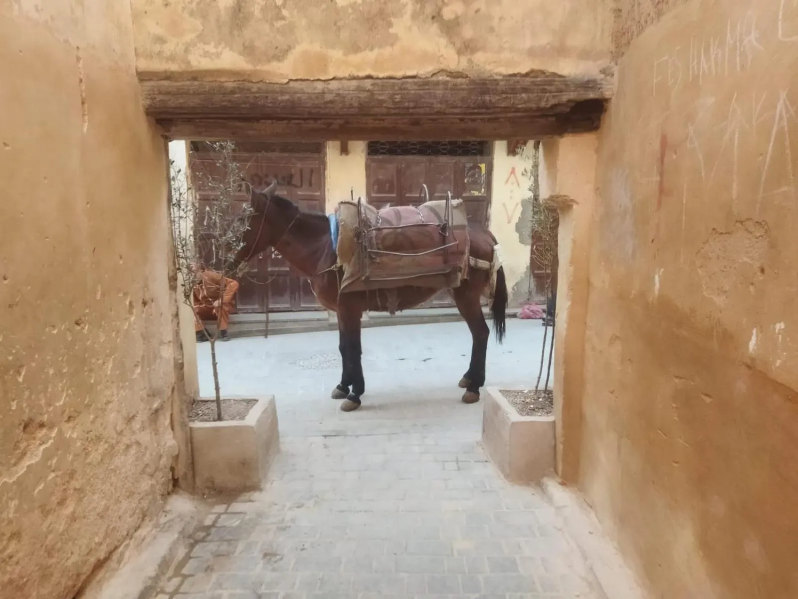 Off site in Dar Lantana