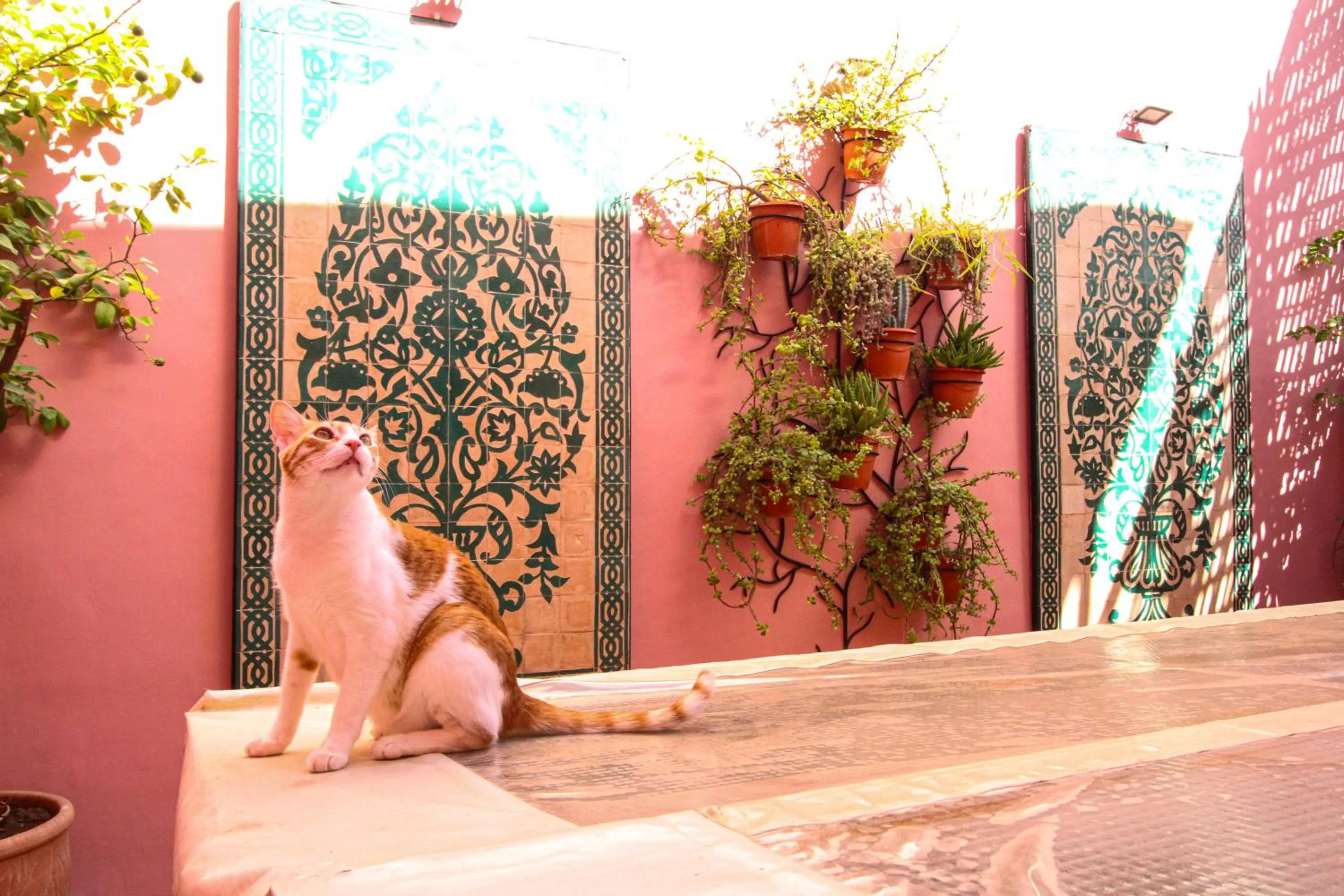 Balcony/Terrace in Dar Lantana