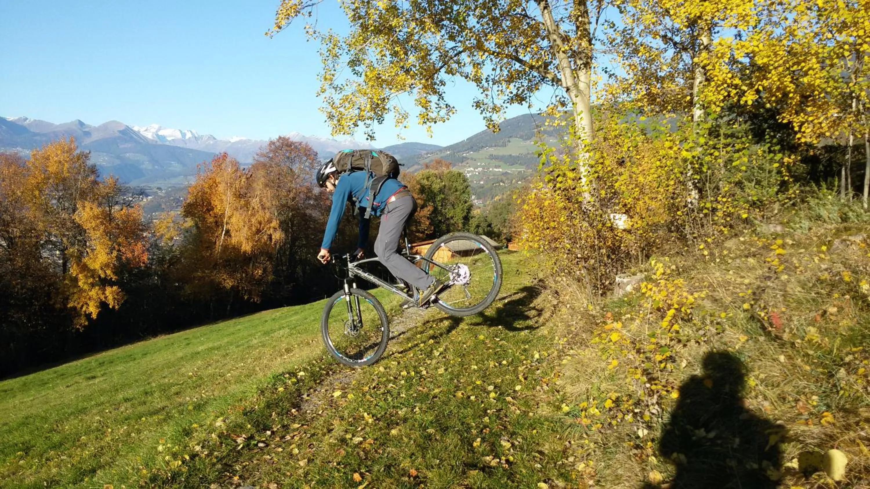 Day in Residence Hofer