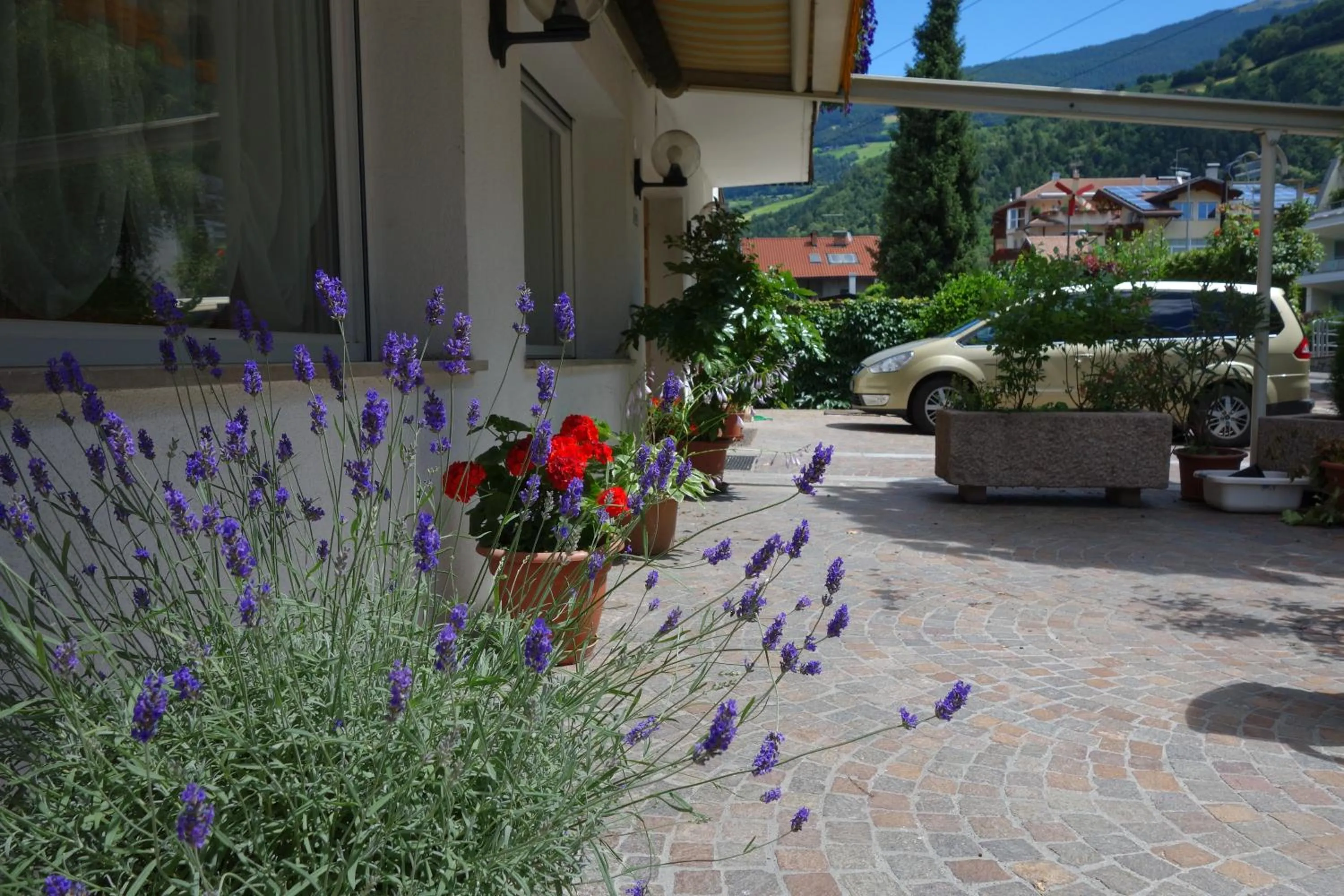 Natural landscape in Residence Hofer