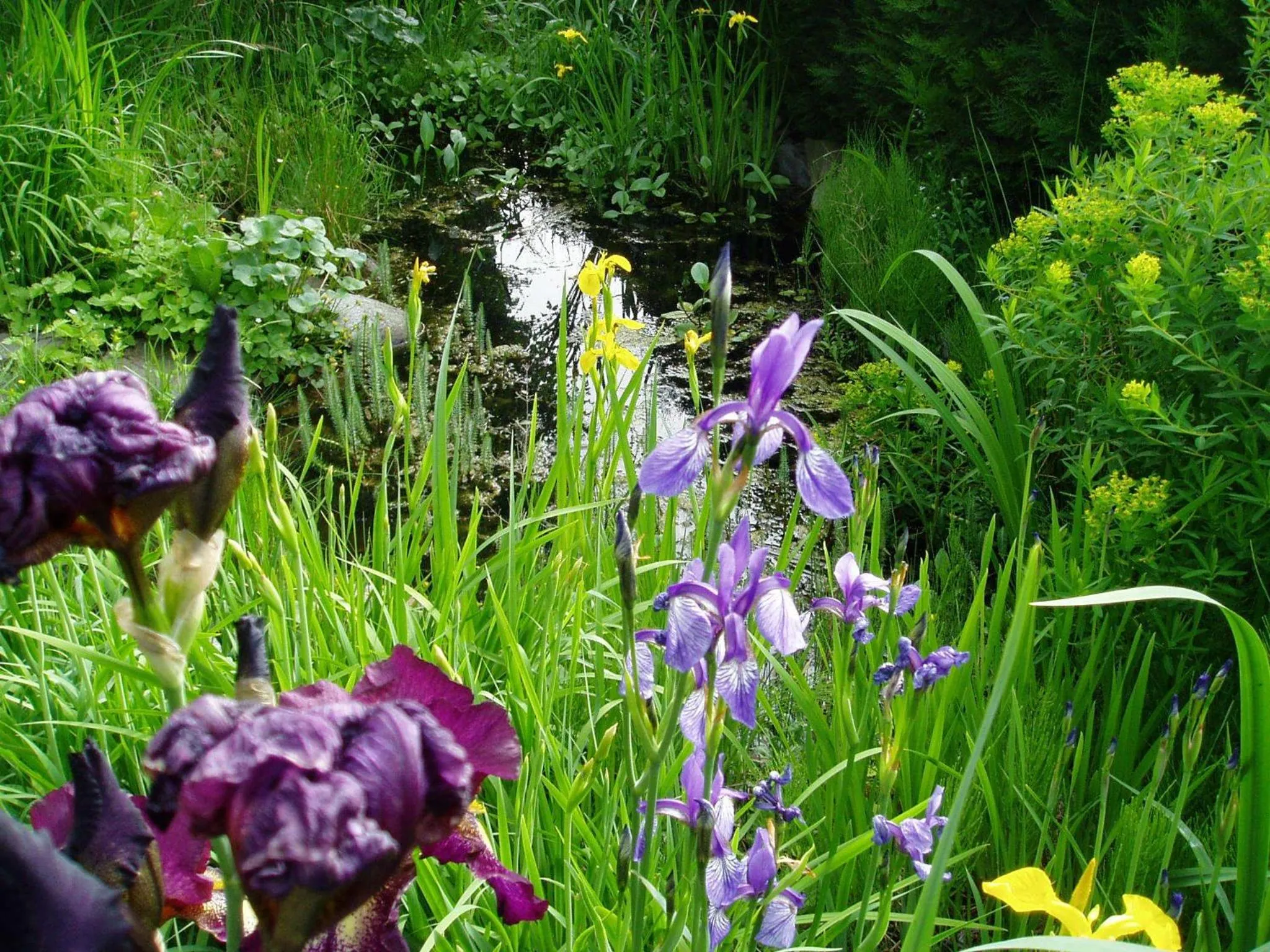 Garden in Residence Hofer