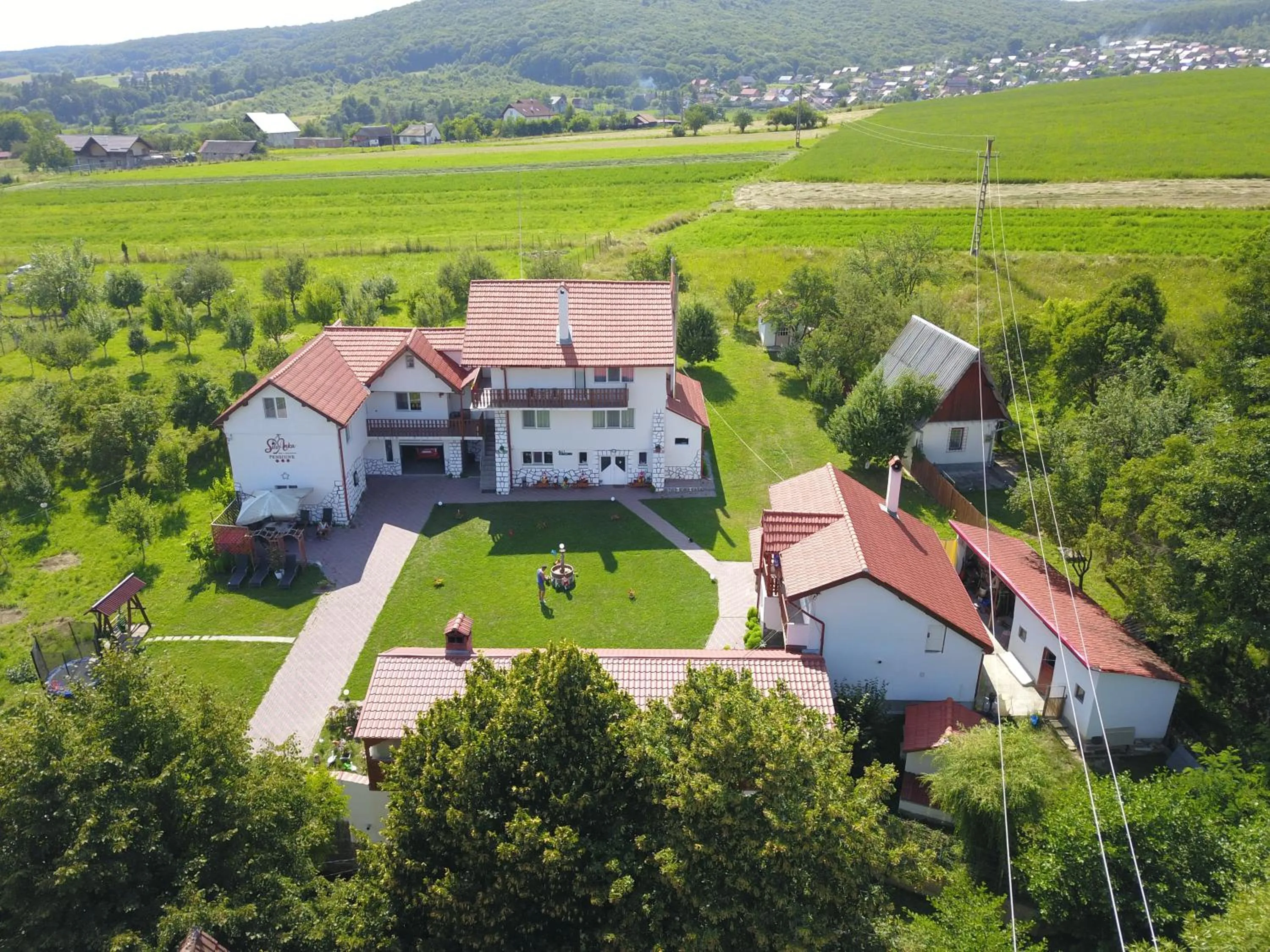 View (from property/room) in Pensiunea SilvAnka