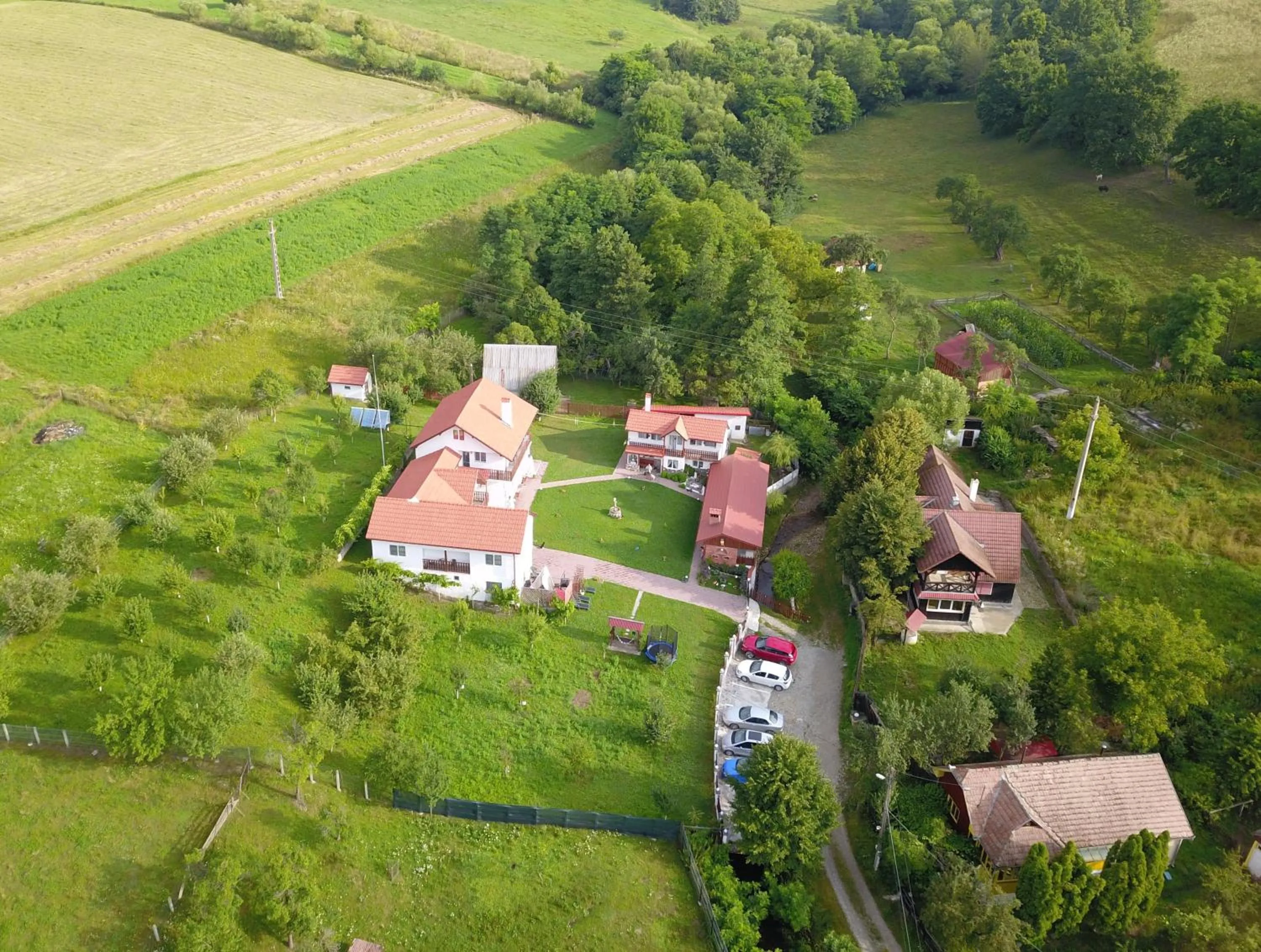 View (from property/room) in Pensiunea SilvAnka