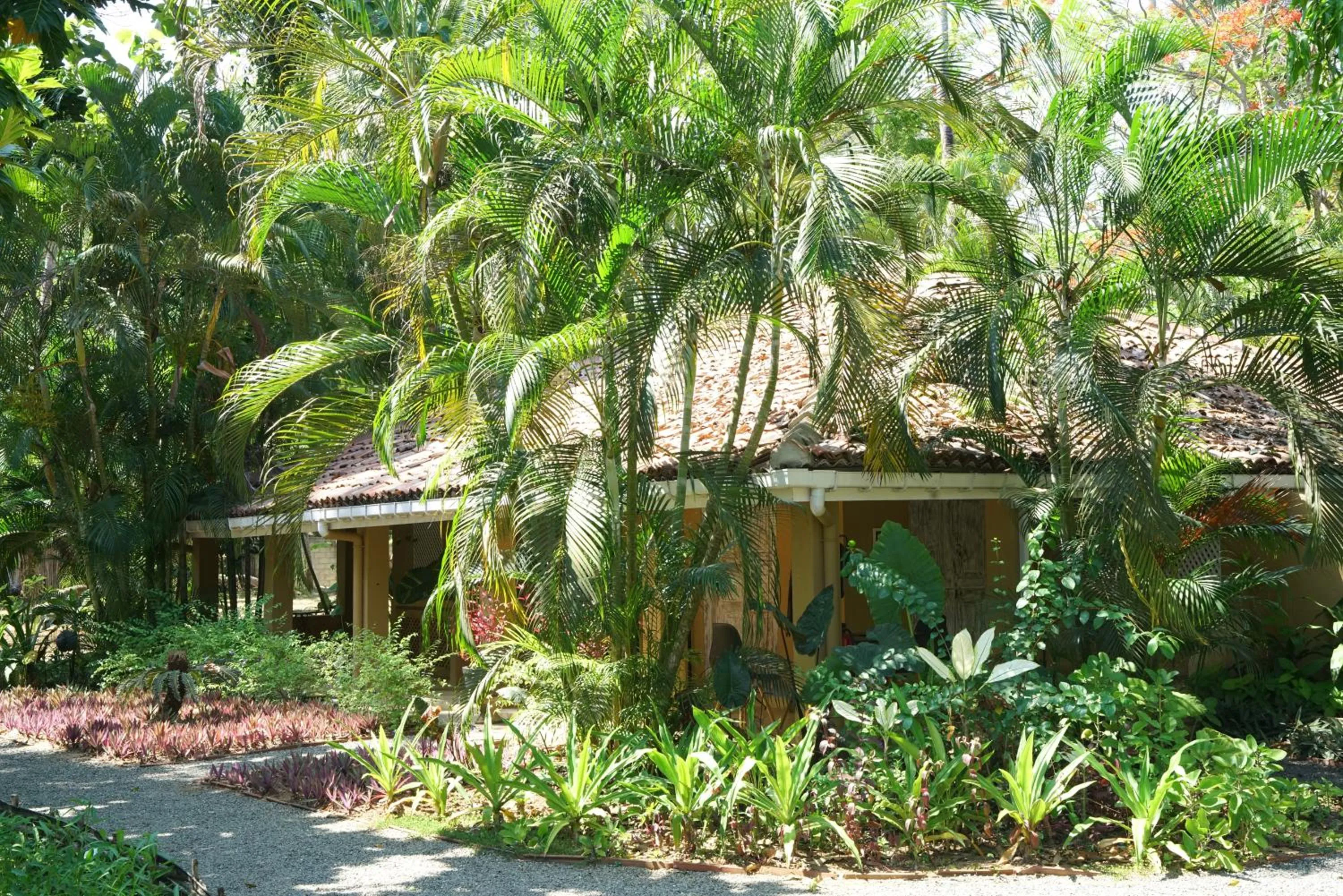 Property building in FIVE