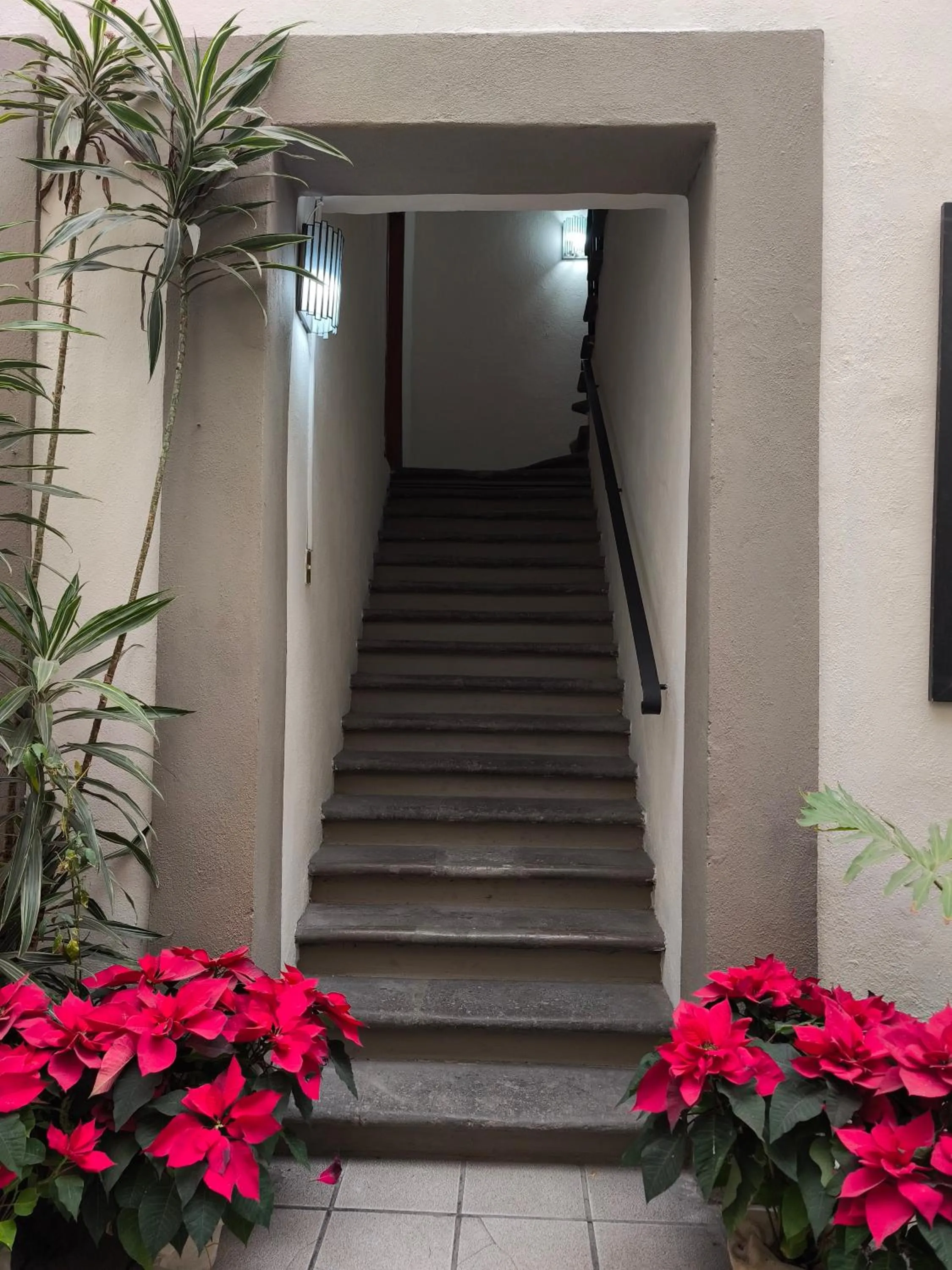 Lobby or reception in Hotel Casa Morena