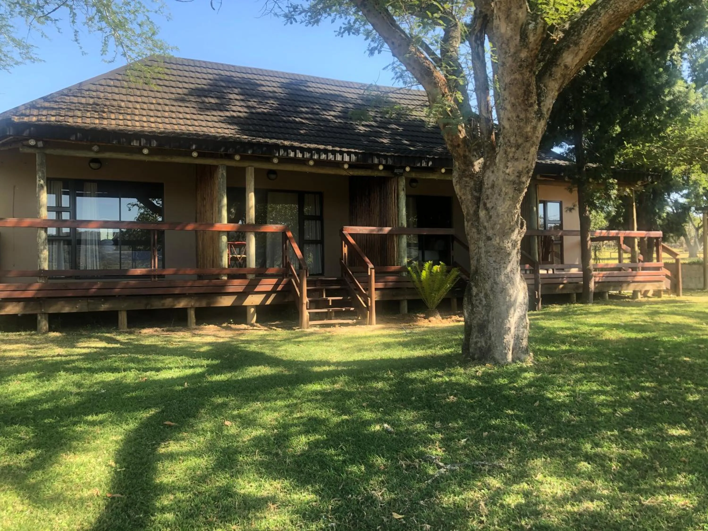 Jock of the Bushveld