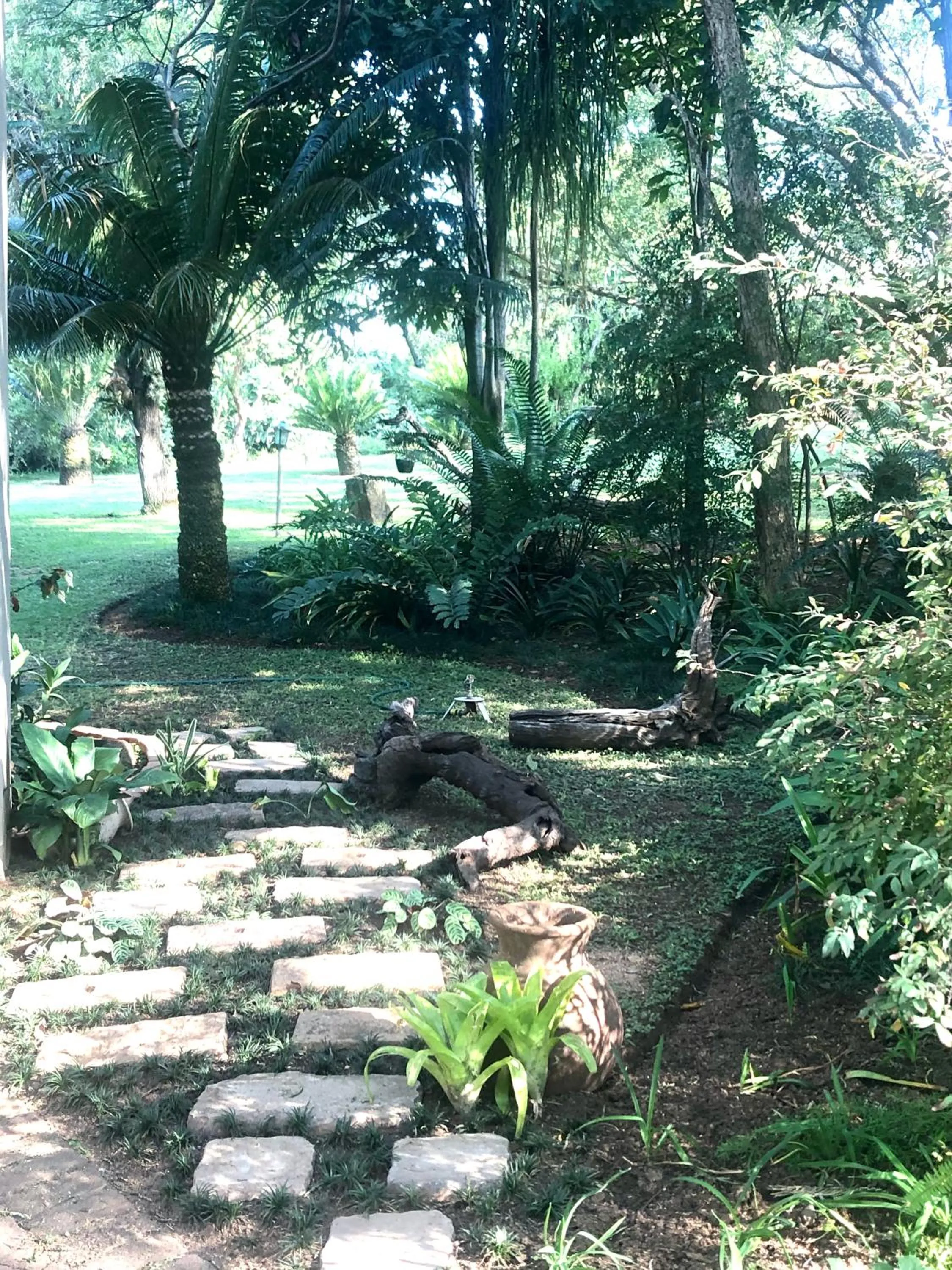 Garden in Jock of the Bushveld