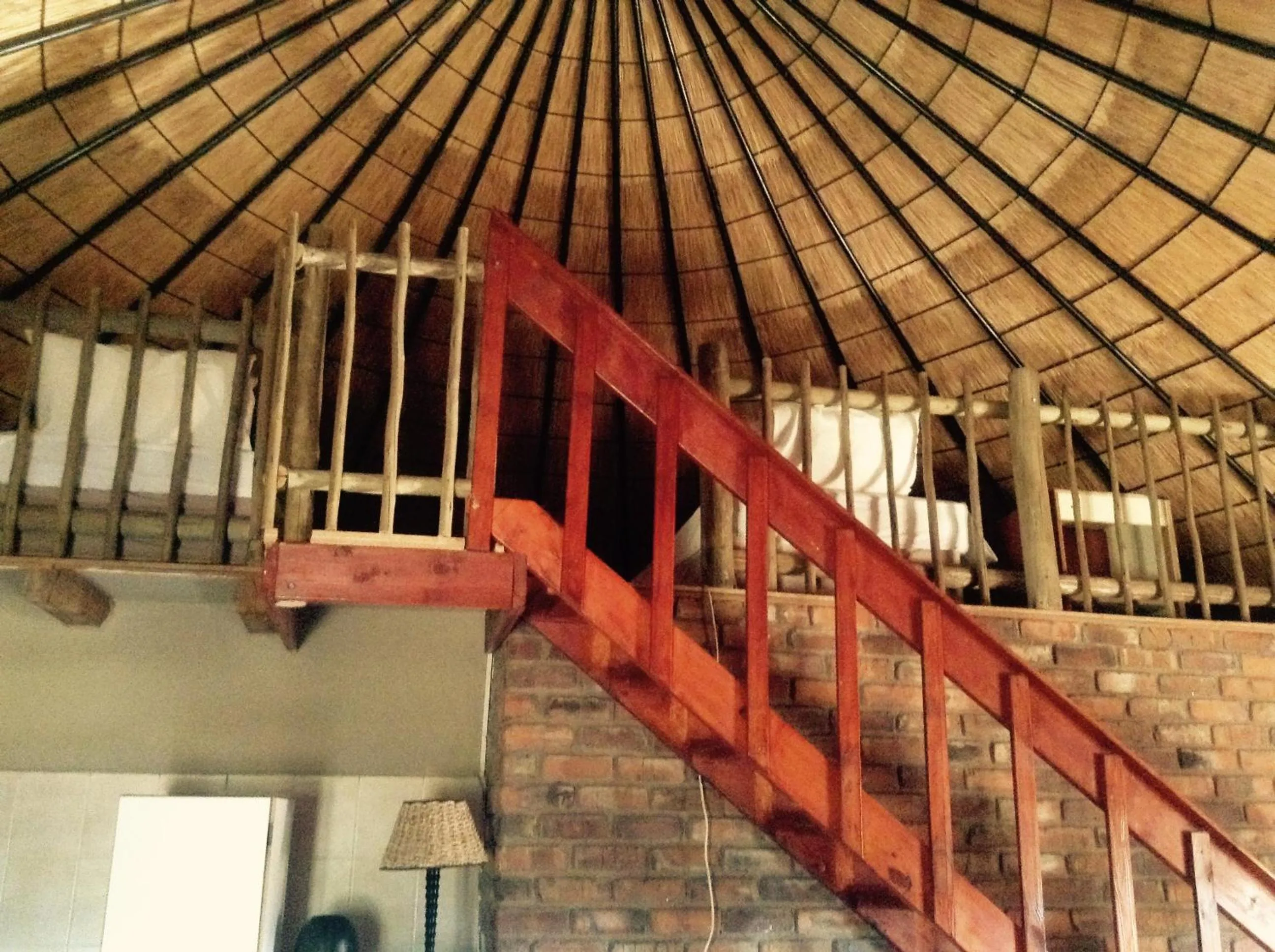 Jock of the Bushveld