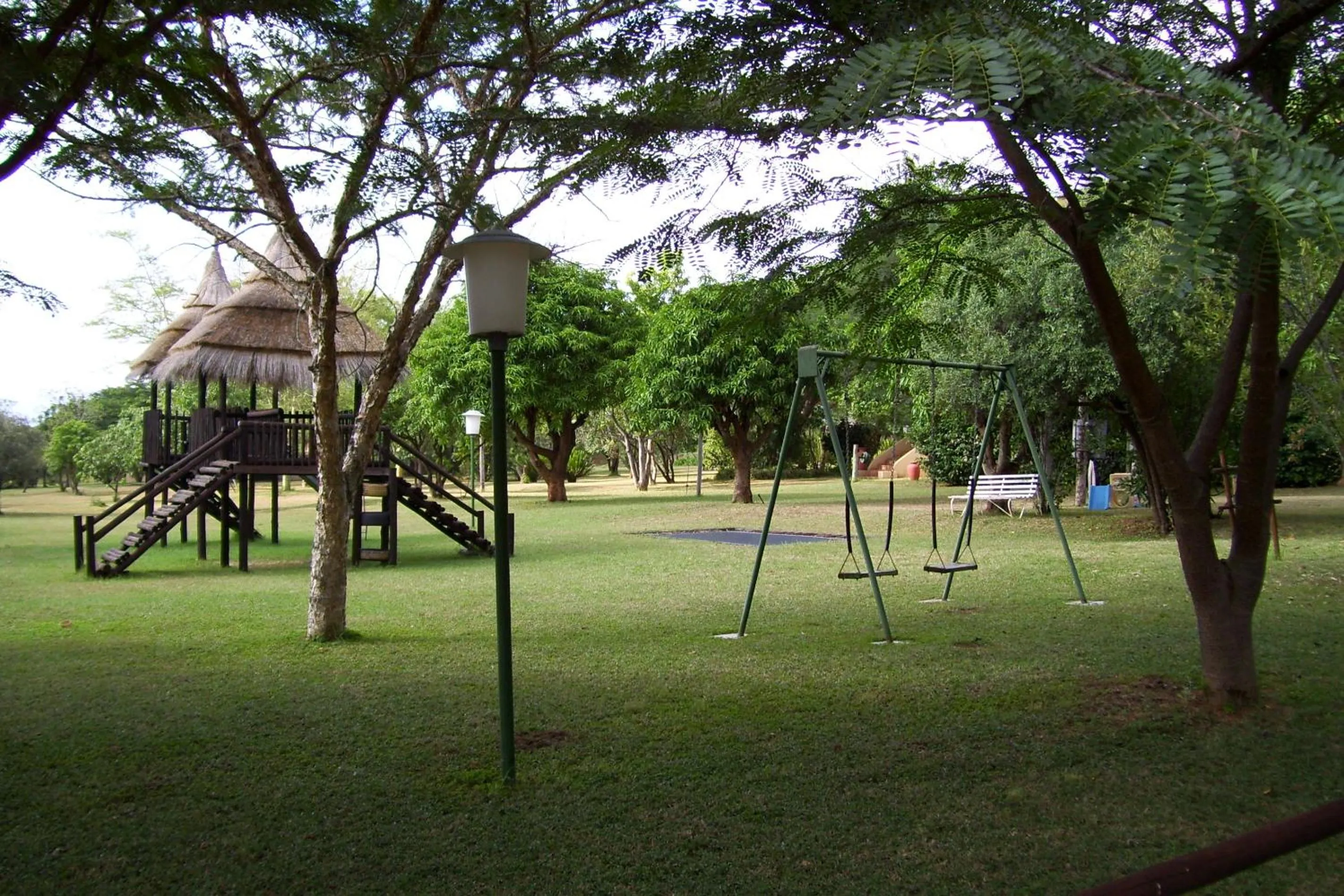 Jock of the Bushveld