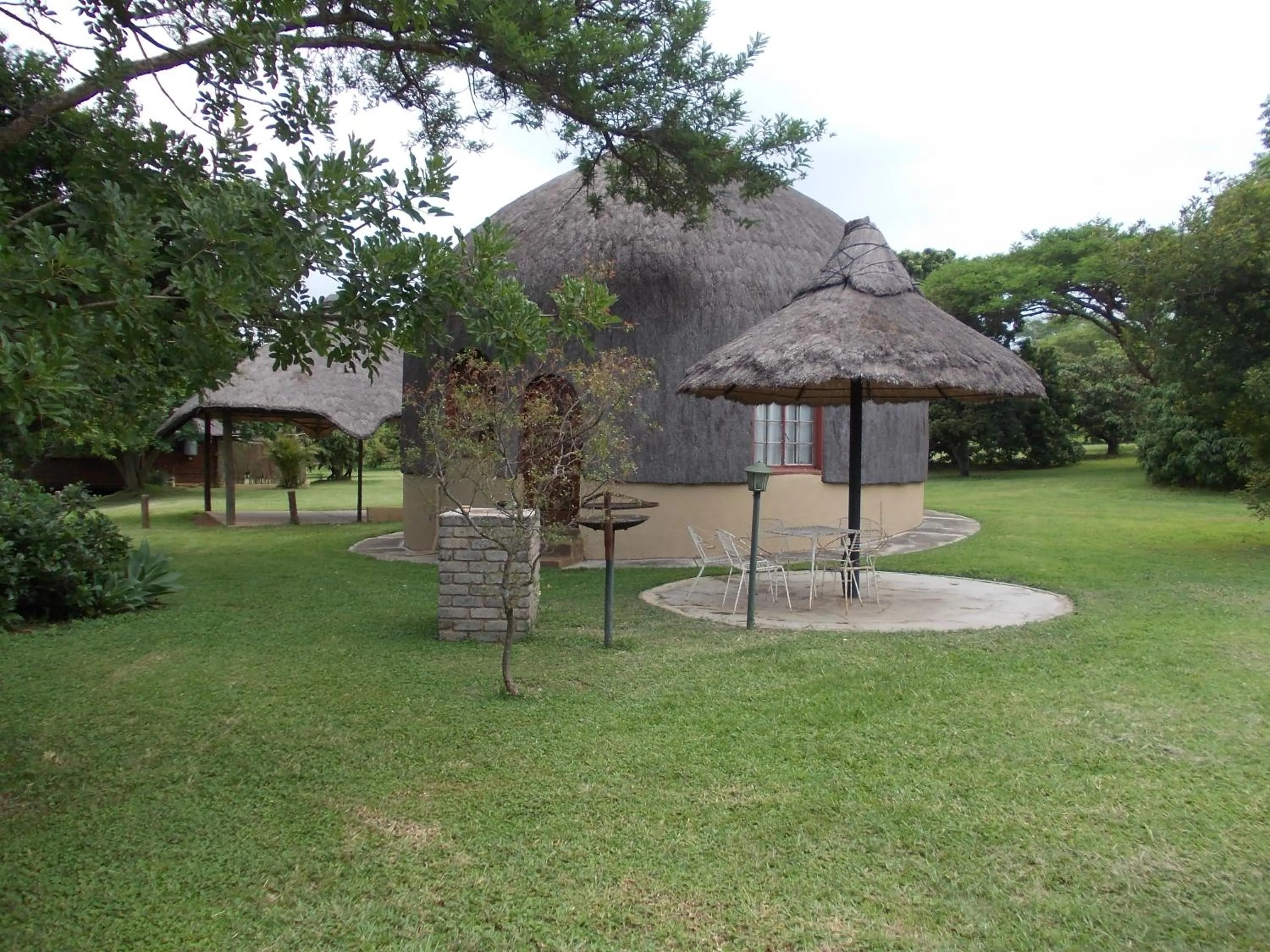 Jock of the Bushveld