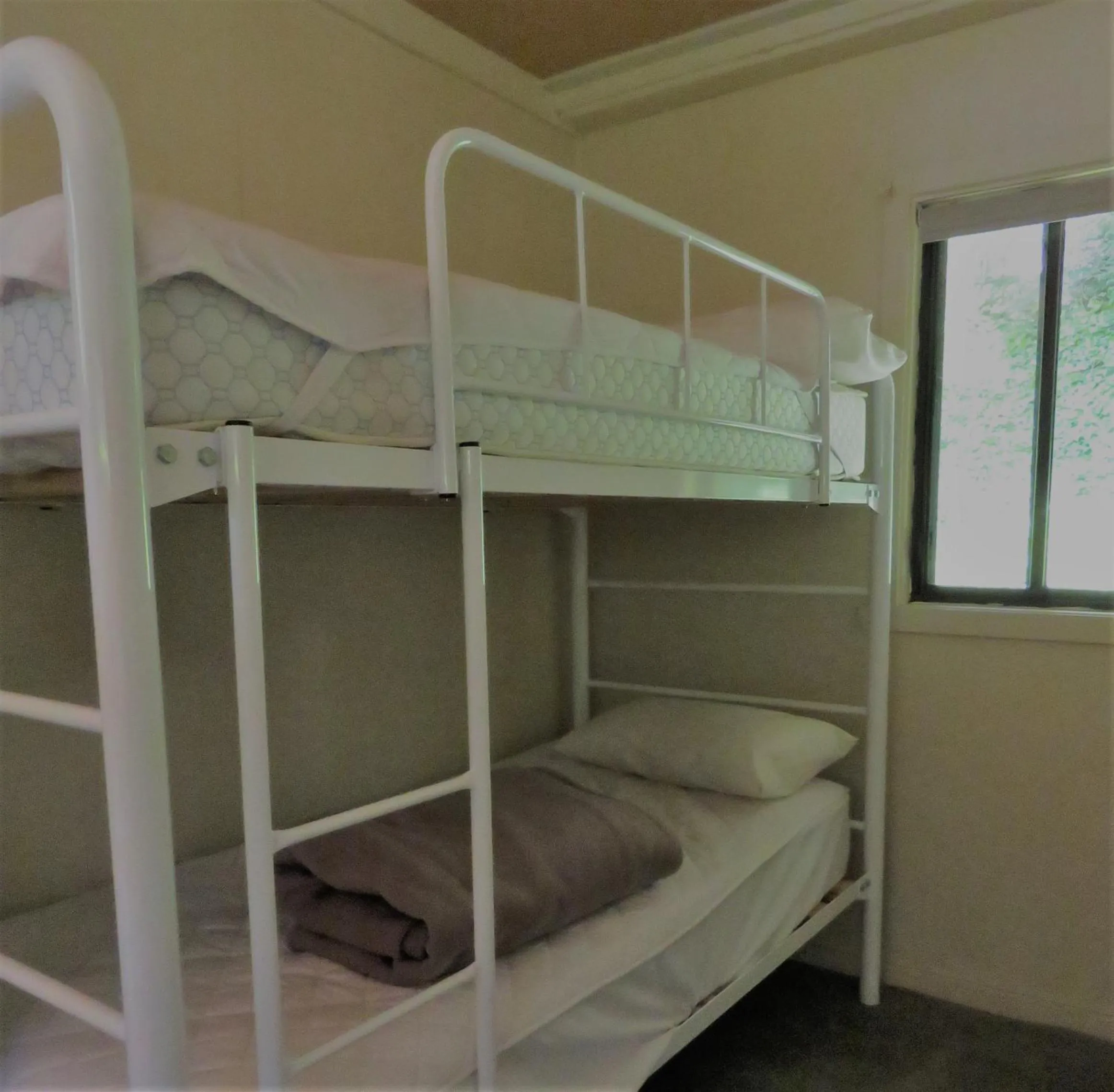 bunk bed, Bed in Beechworth Holiday Park