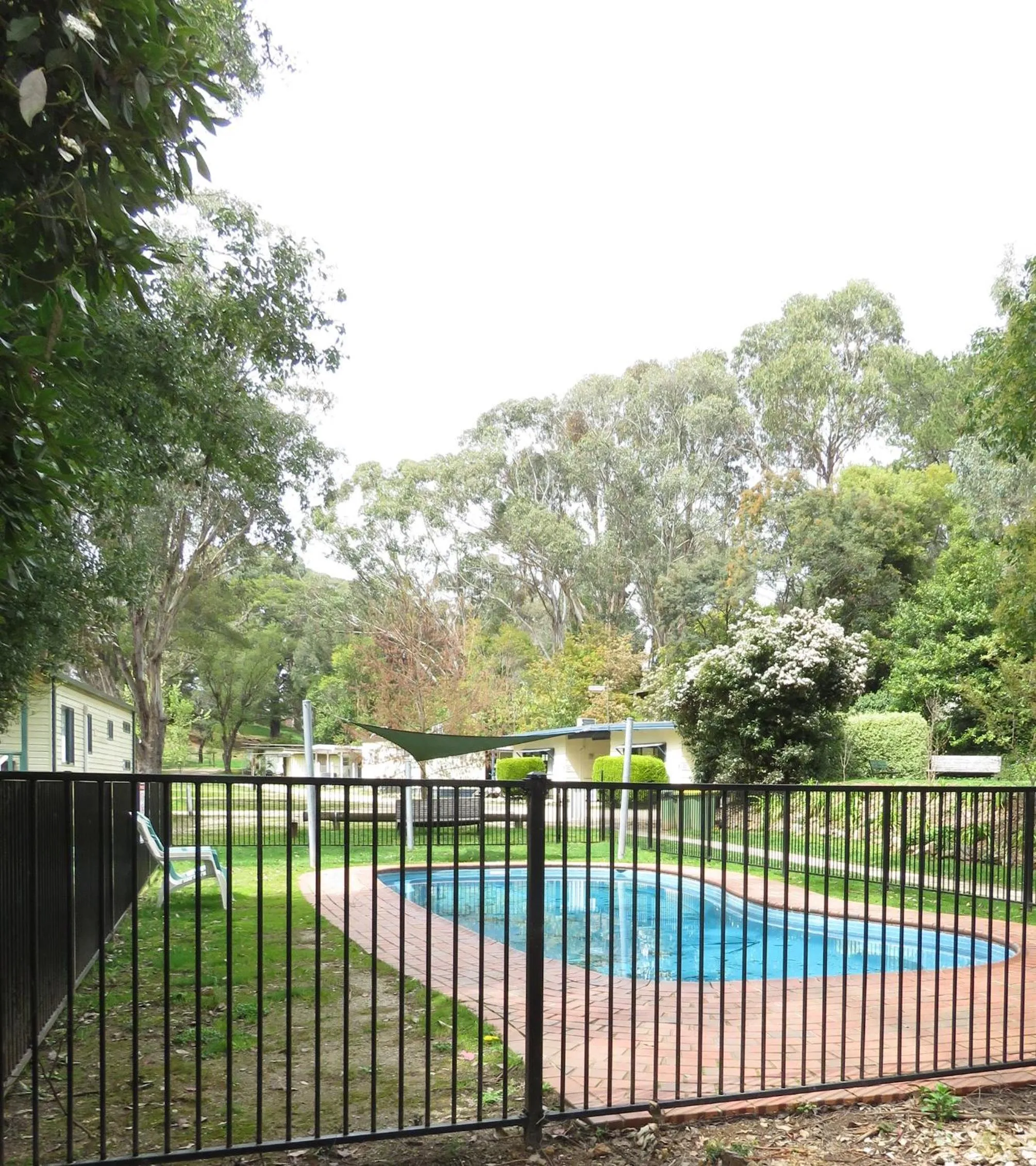 Swimming pool in Beechworth Holiday Park